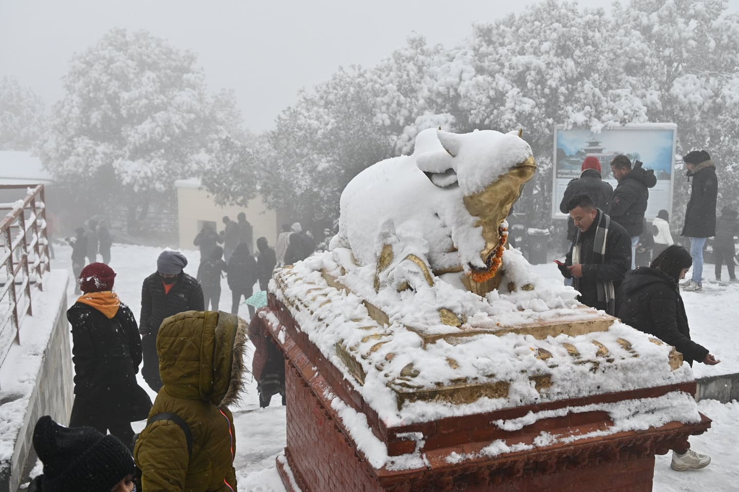 आच्छुछु..आज कति जाडो, आउनोस् चिसोभित्रको मजा नियालौँ