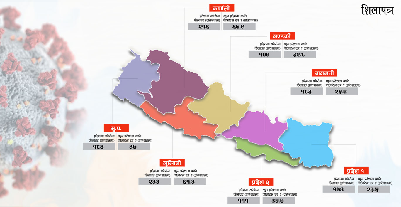 स्वास्थ्य संकटकालकाे तयारी, निजी संरचना पनि सरकारले प्रयोग गर्न सक्ने