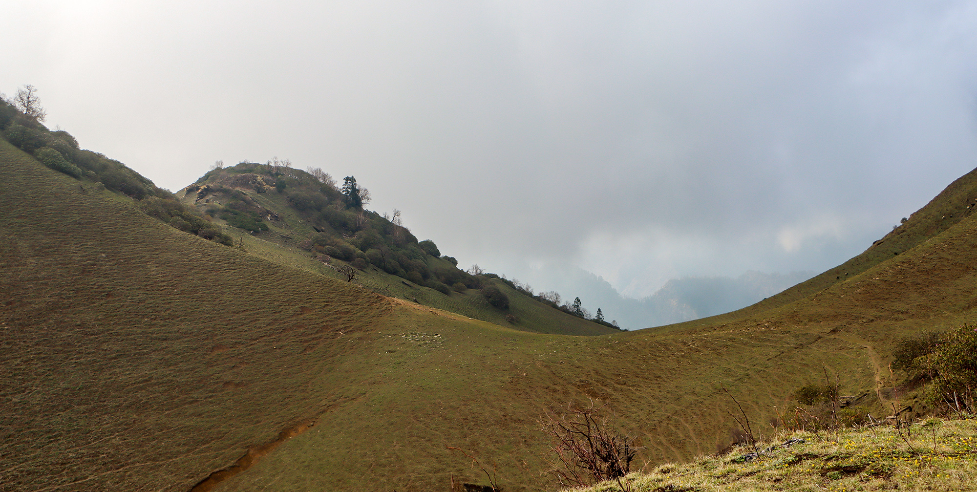 dharam-ghar--(1)-1780108341.JPG