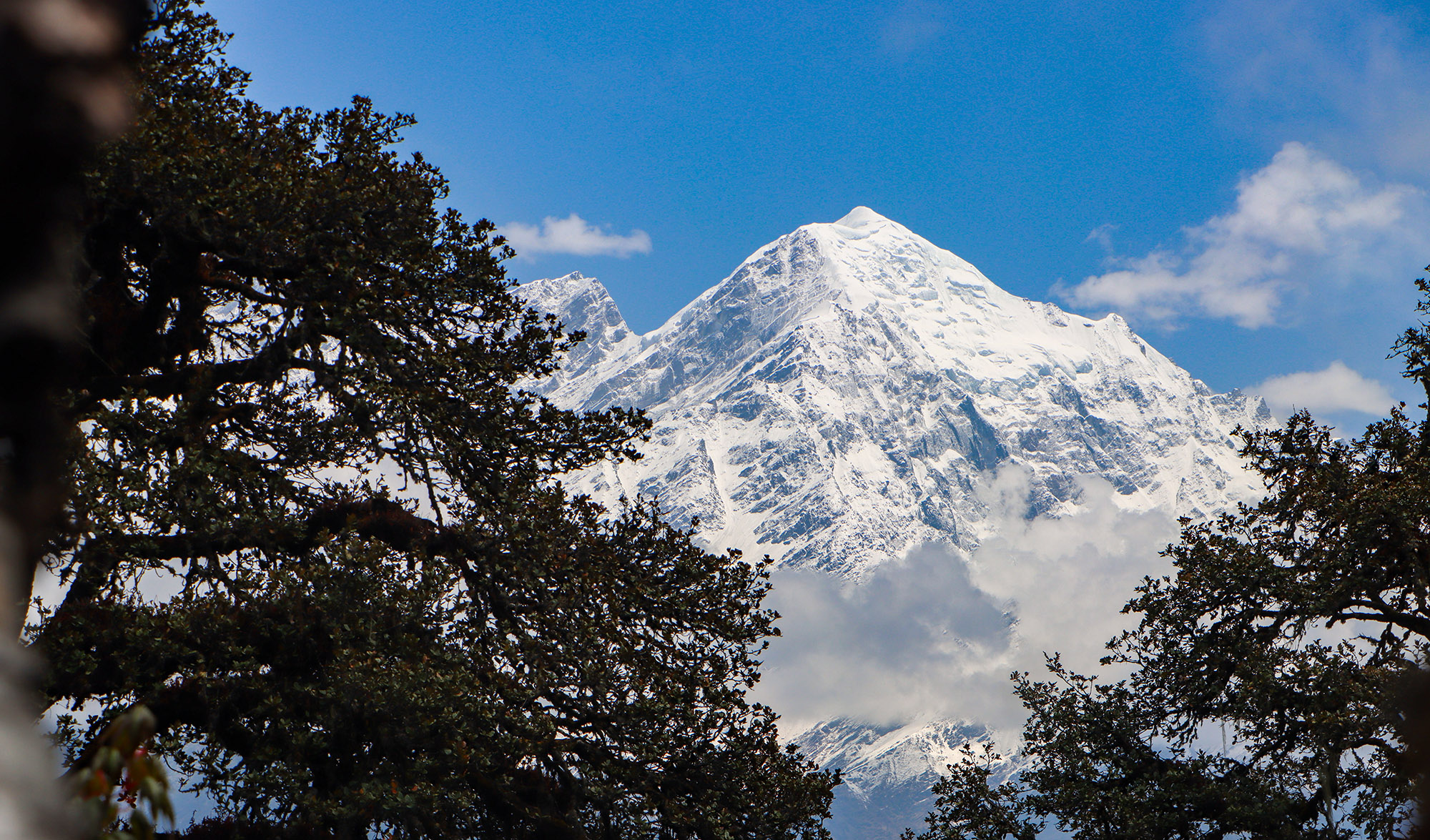 dharam-ghar--(13)-1780108341.JPG