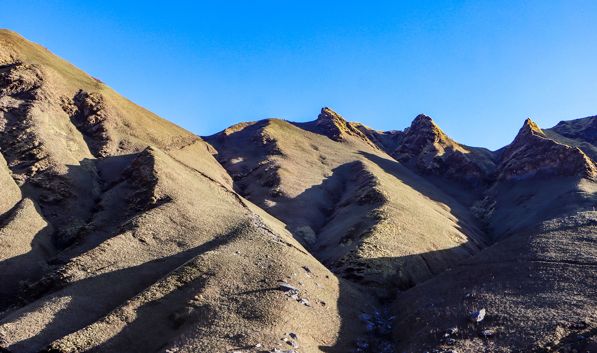 dharam-ghar--(9)-1780108337.JPG