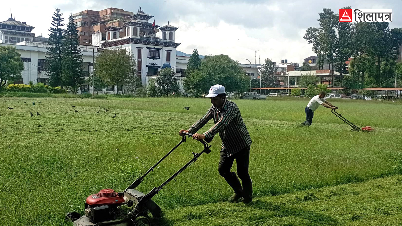 बहादुर भवनमा सुरु भयाे चुनावी चटारो, धमाधम काटिँदै घाँस