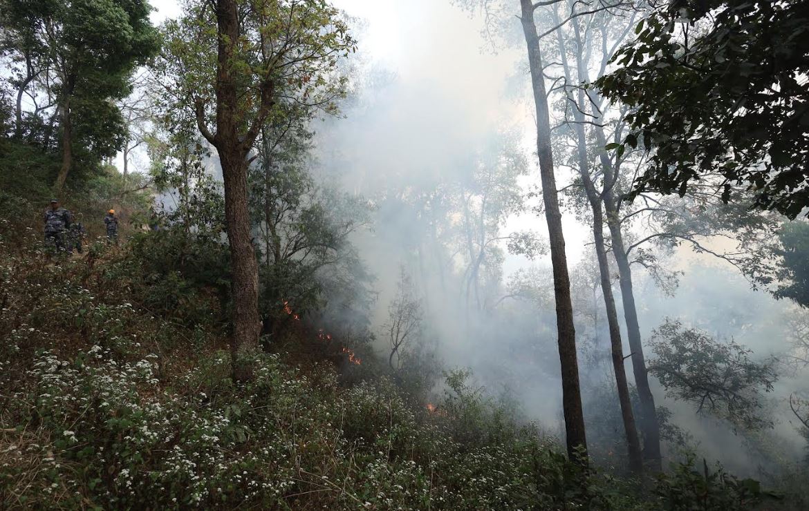 fire-2-1742551521.JPG