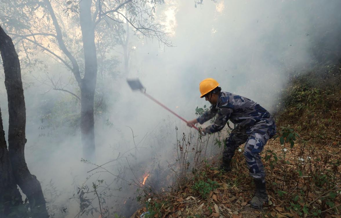 fire-3-1742551536.JPG