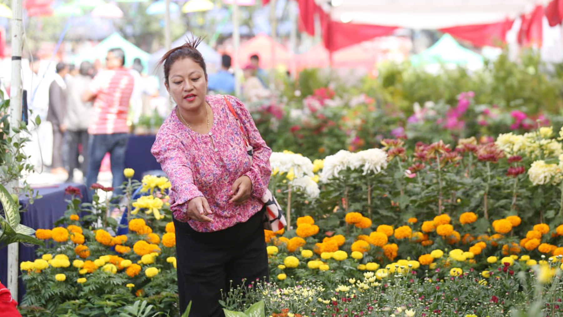 ful-mela--1760426622.jpg