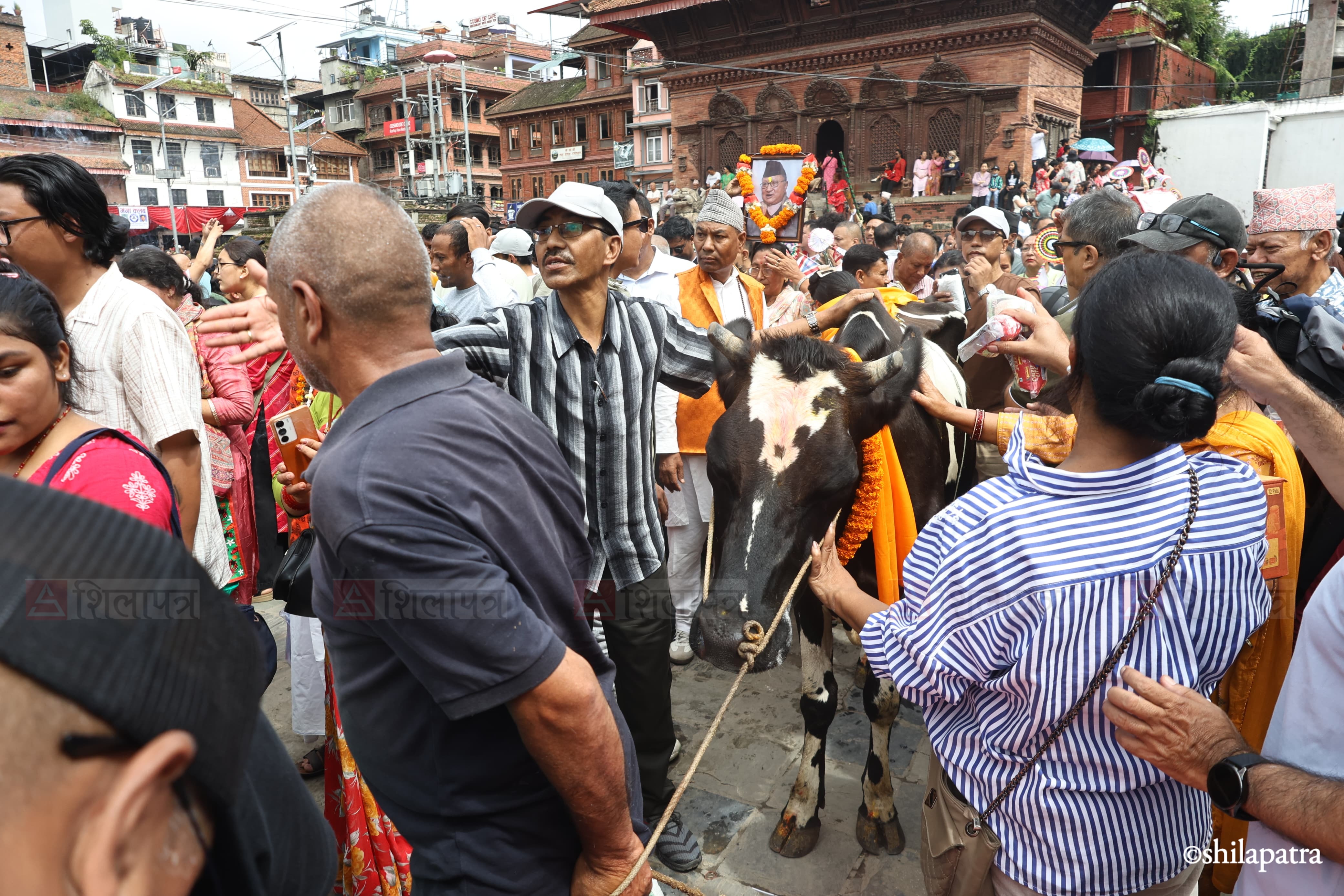 gaijatra-ktm-(1)-1787978924.jpg