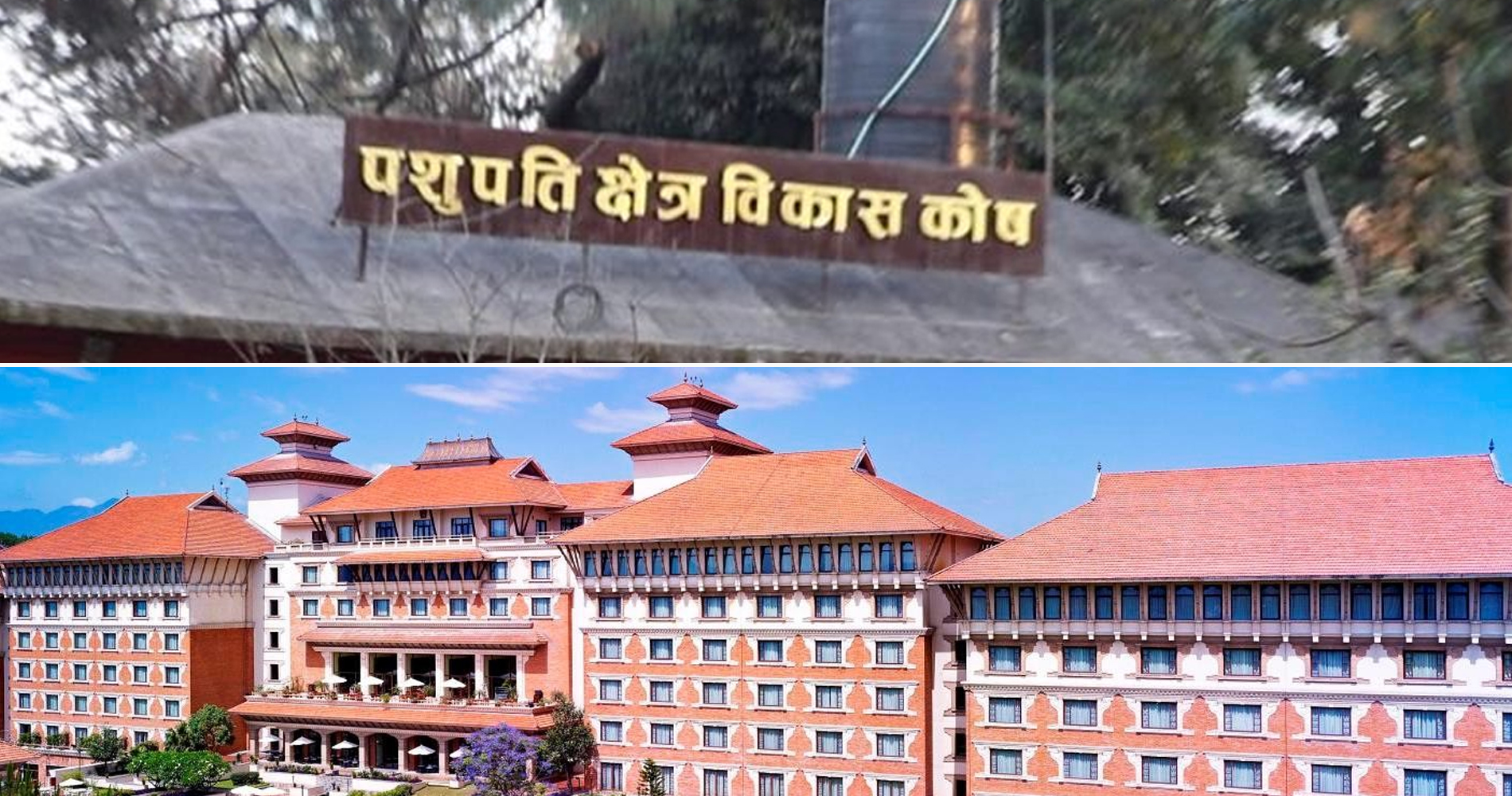 पशुपतिको जग्गा हायातलाई भाडामा, १७ रोपनी जग्गाको भाडाबापत १६ मुरी धान