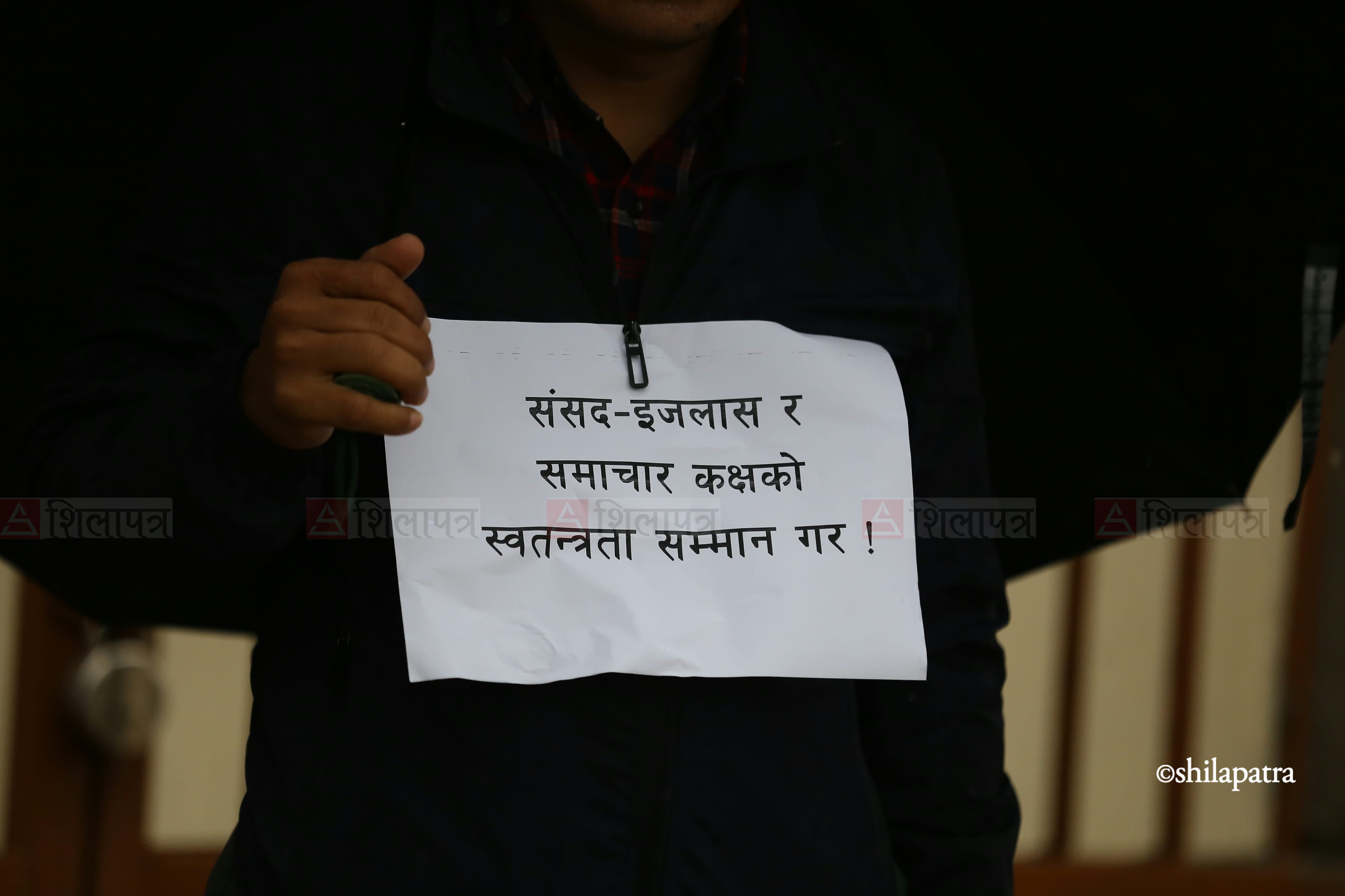 journalist-at-maitighar-(1)-1793424398.jpeg