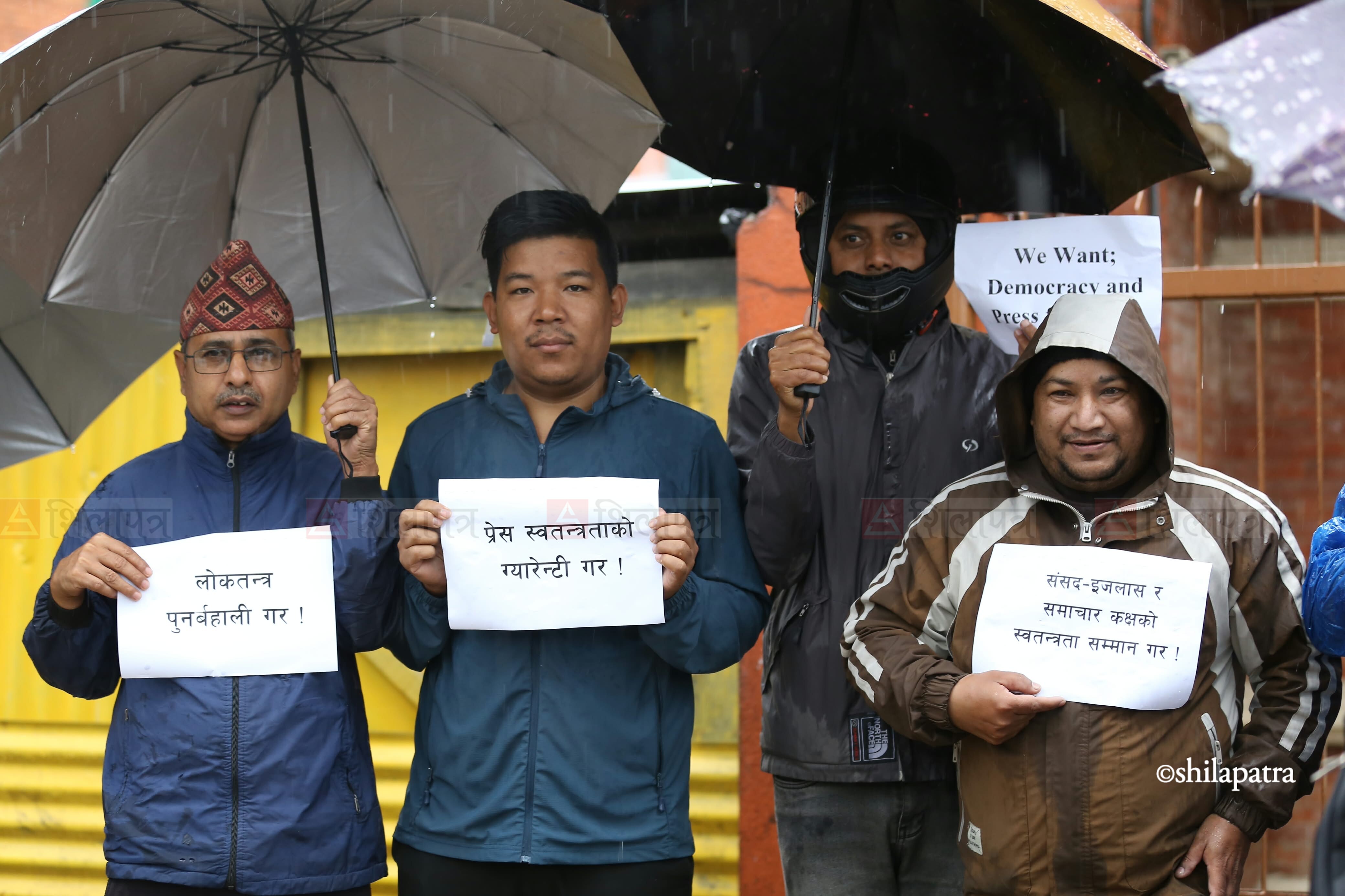 journalist-at-maitighar-(11)-1793424405.jpeg