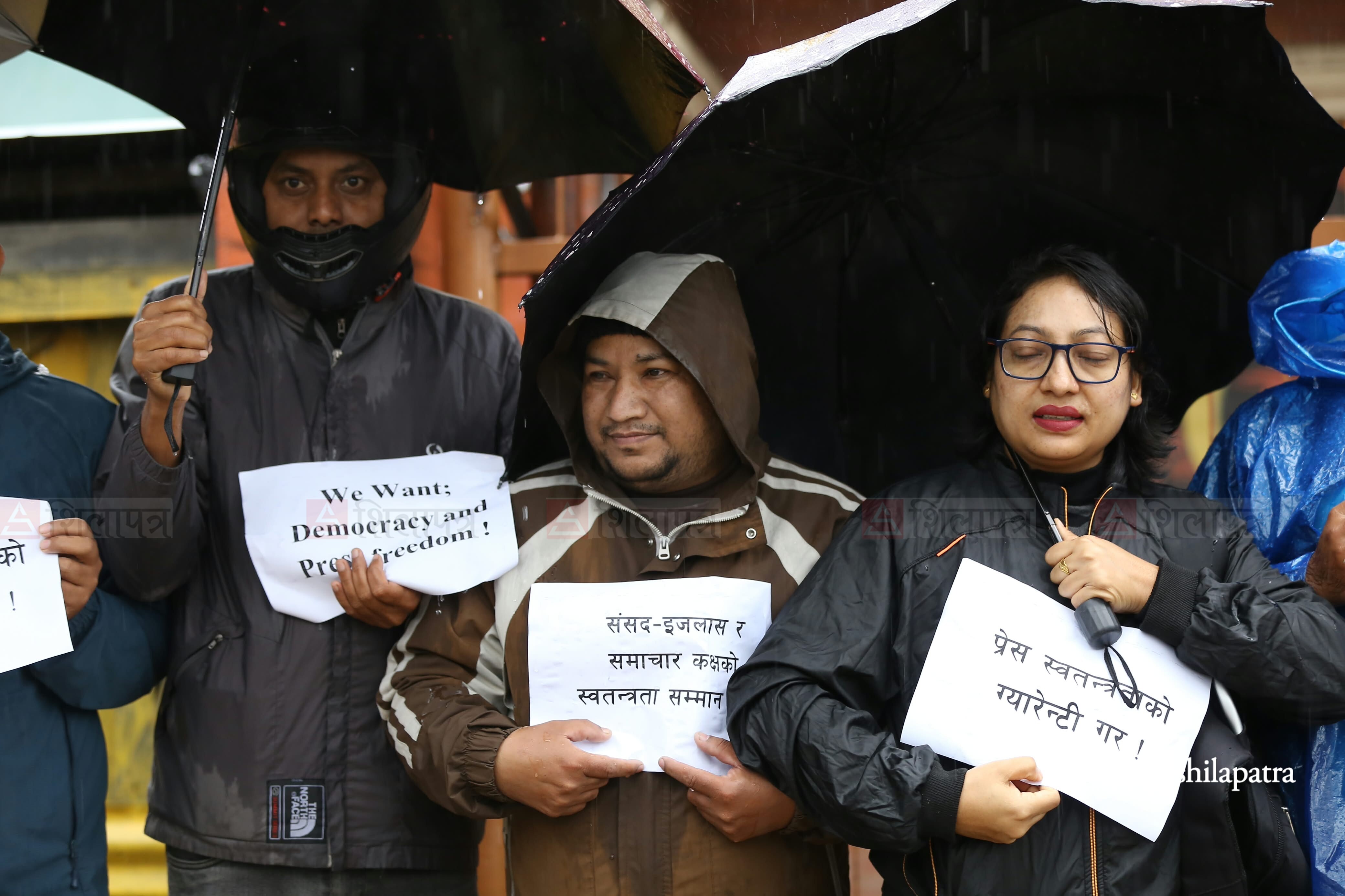journalist-at-maitighar-(3)-1793424400.jpeg