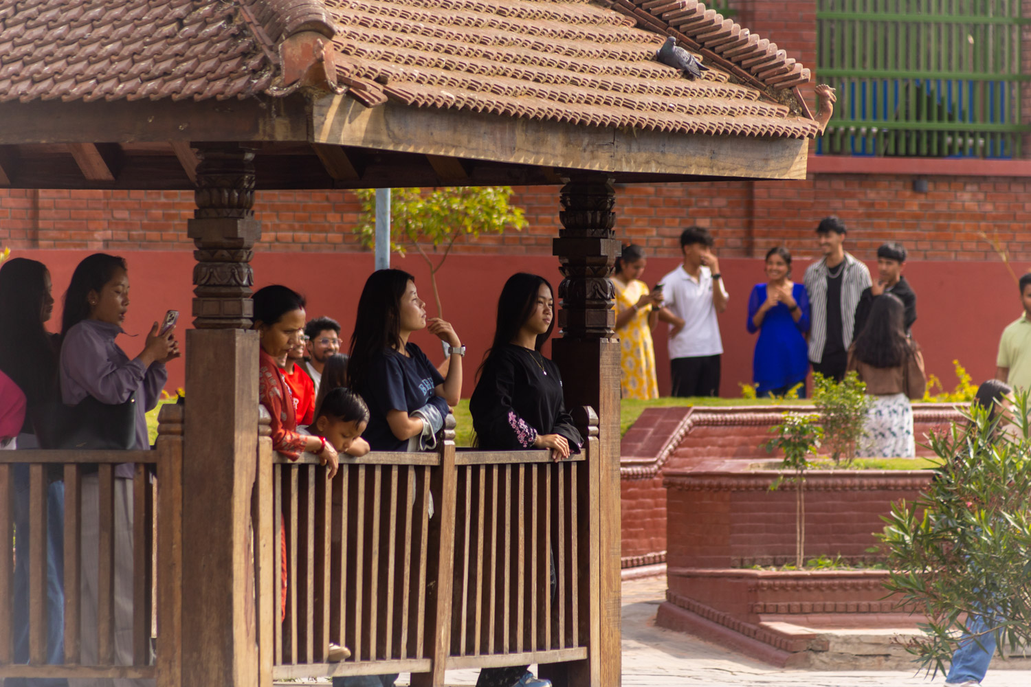 kamalpokhari-jakaranada_Nepal-photo-library-(6)-1778416749.jpg