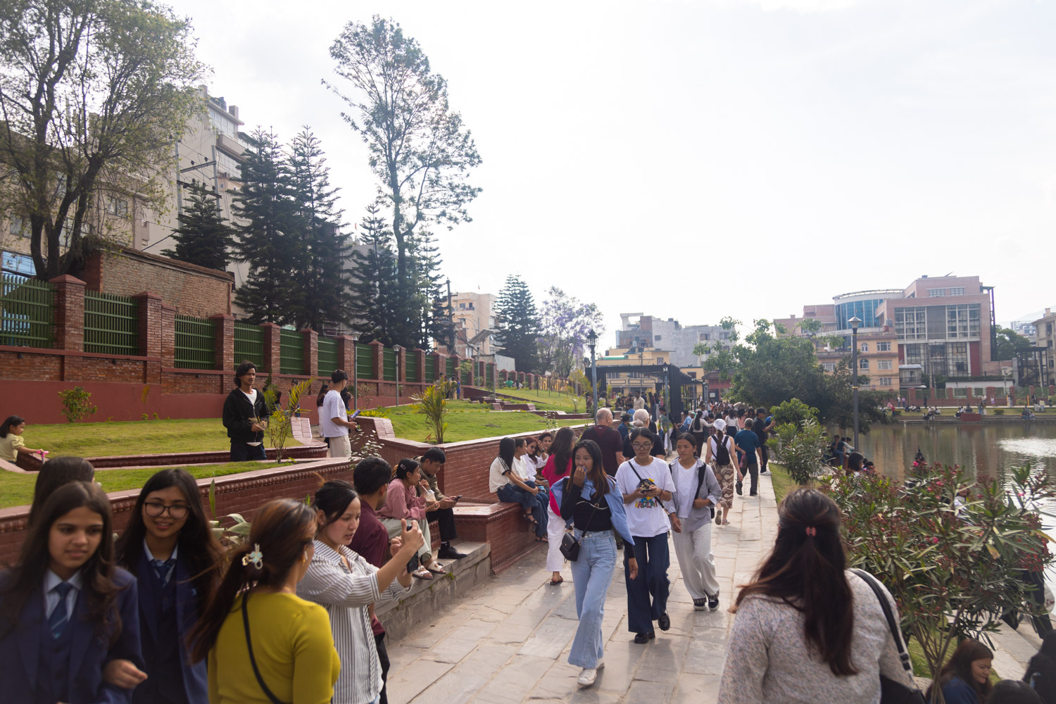kamalpokhari-jakaranada_Nepal-photo-library-(9)-1778416751.jpg
