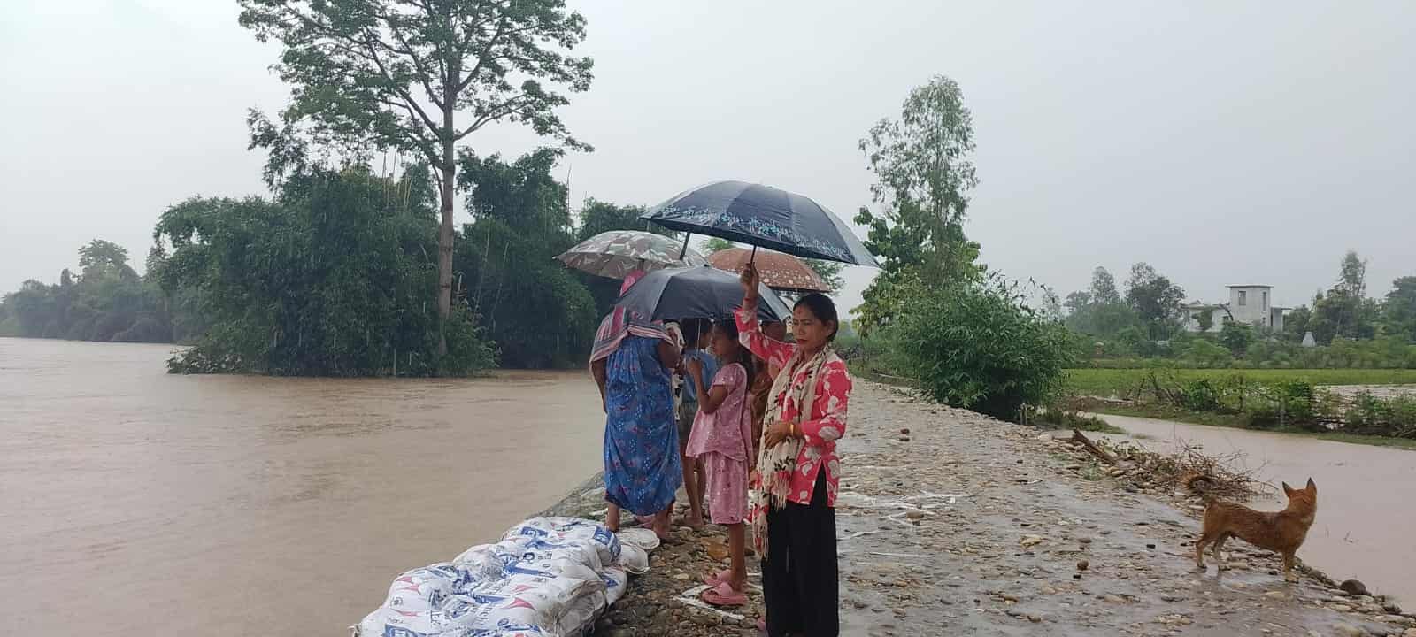 kanchanpur-3-badhu-duban-1756729143.jpg