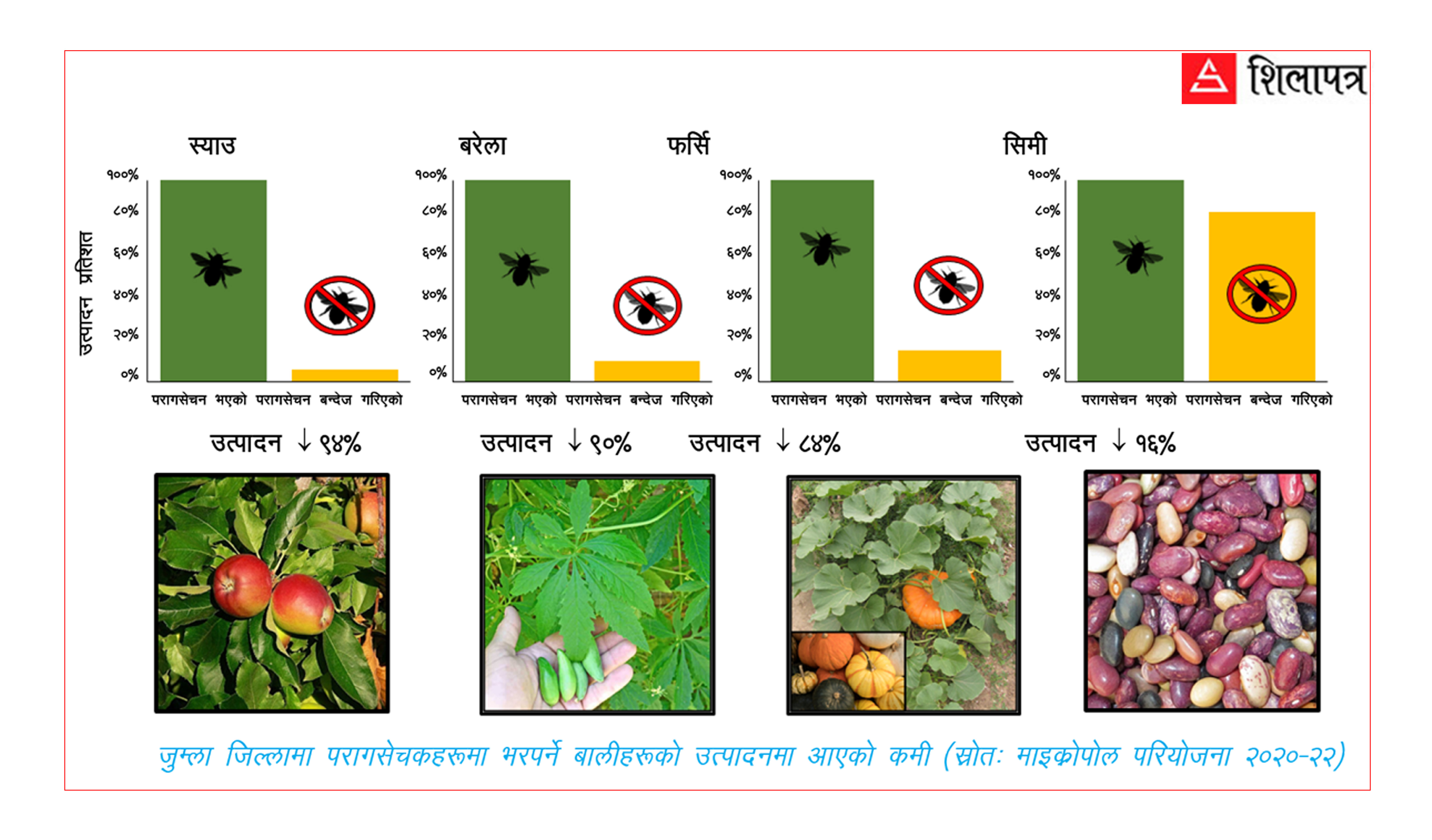 मौरीजन्य जीवमा निर्भर बाली जोगाउन रणनीति बनाउँदै कर्णाली सरकार  