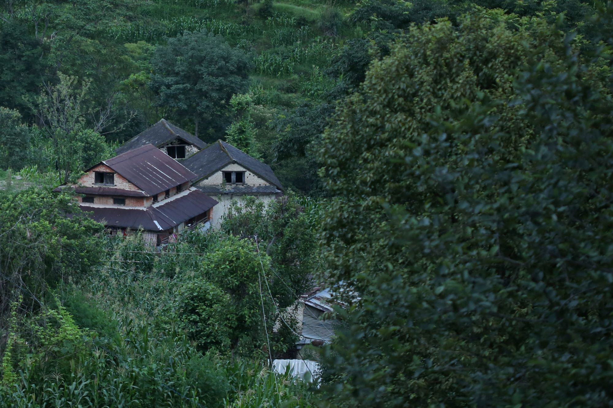 kath-ka-basti-(15)-1751692994.jpg