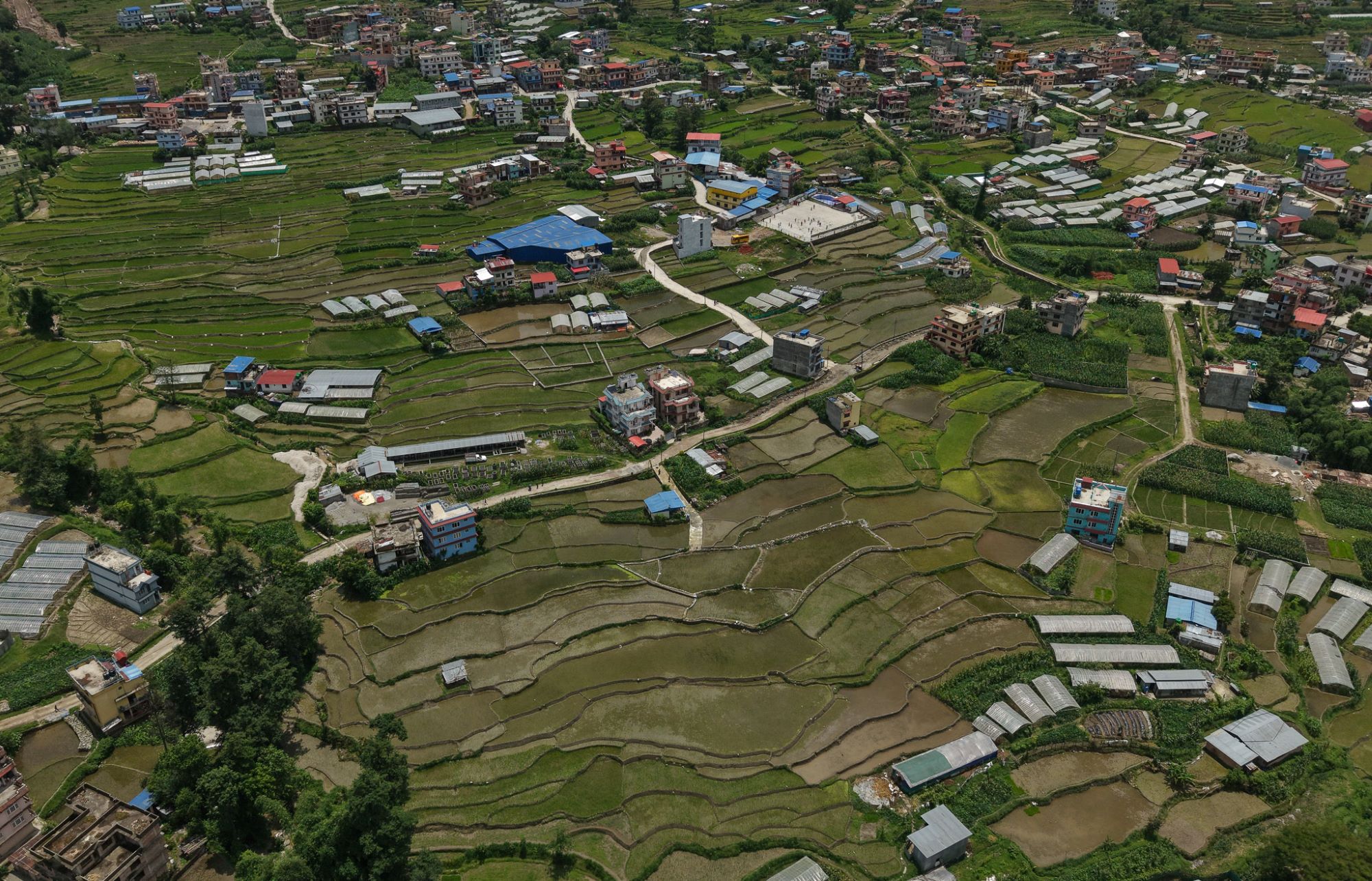 kath-ka-basti-(17)-1751692995.jpg