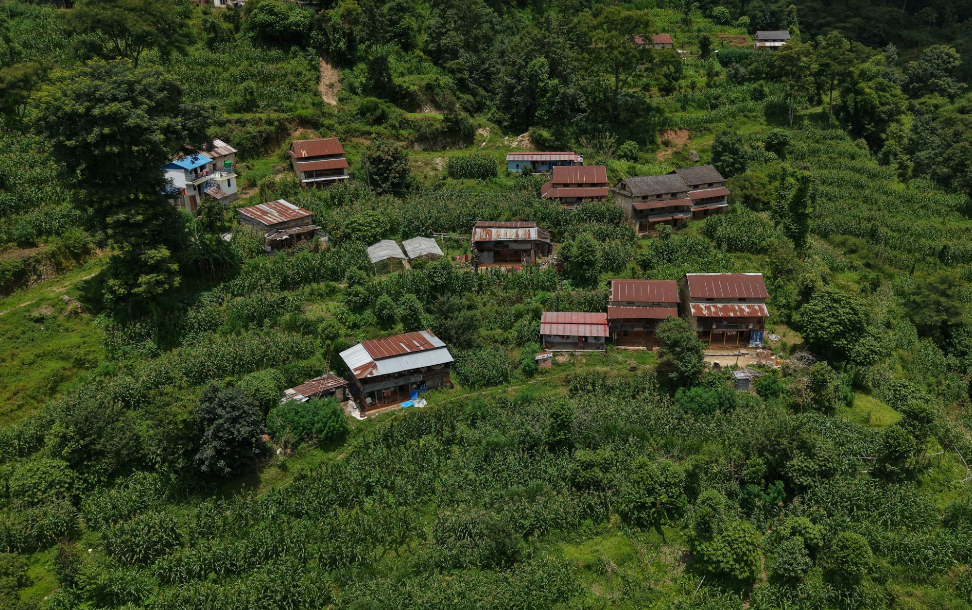 kath-ka-basti-(6)-1751692990.jpg