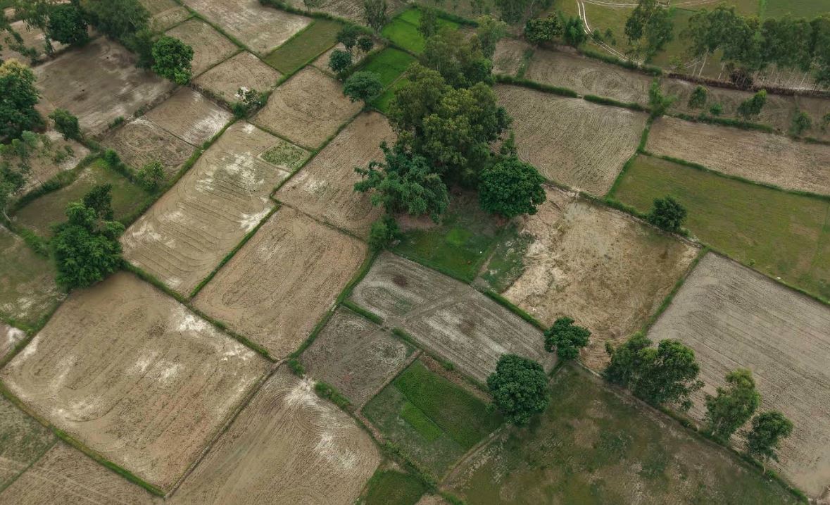 khaderi-dhan-9-1753408210.JPG