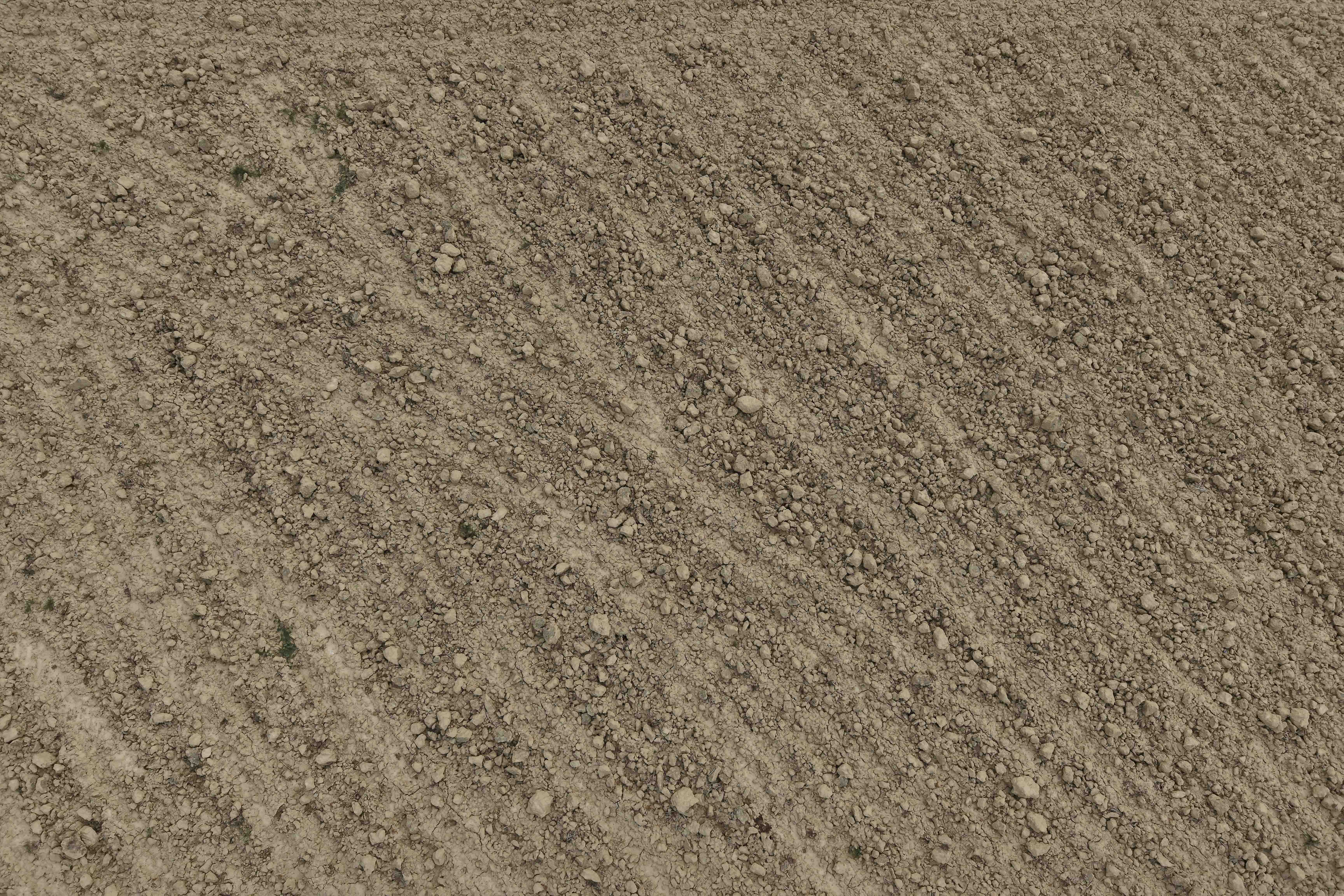 khetharu-(6)-1753596357.jpg