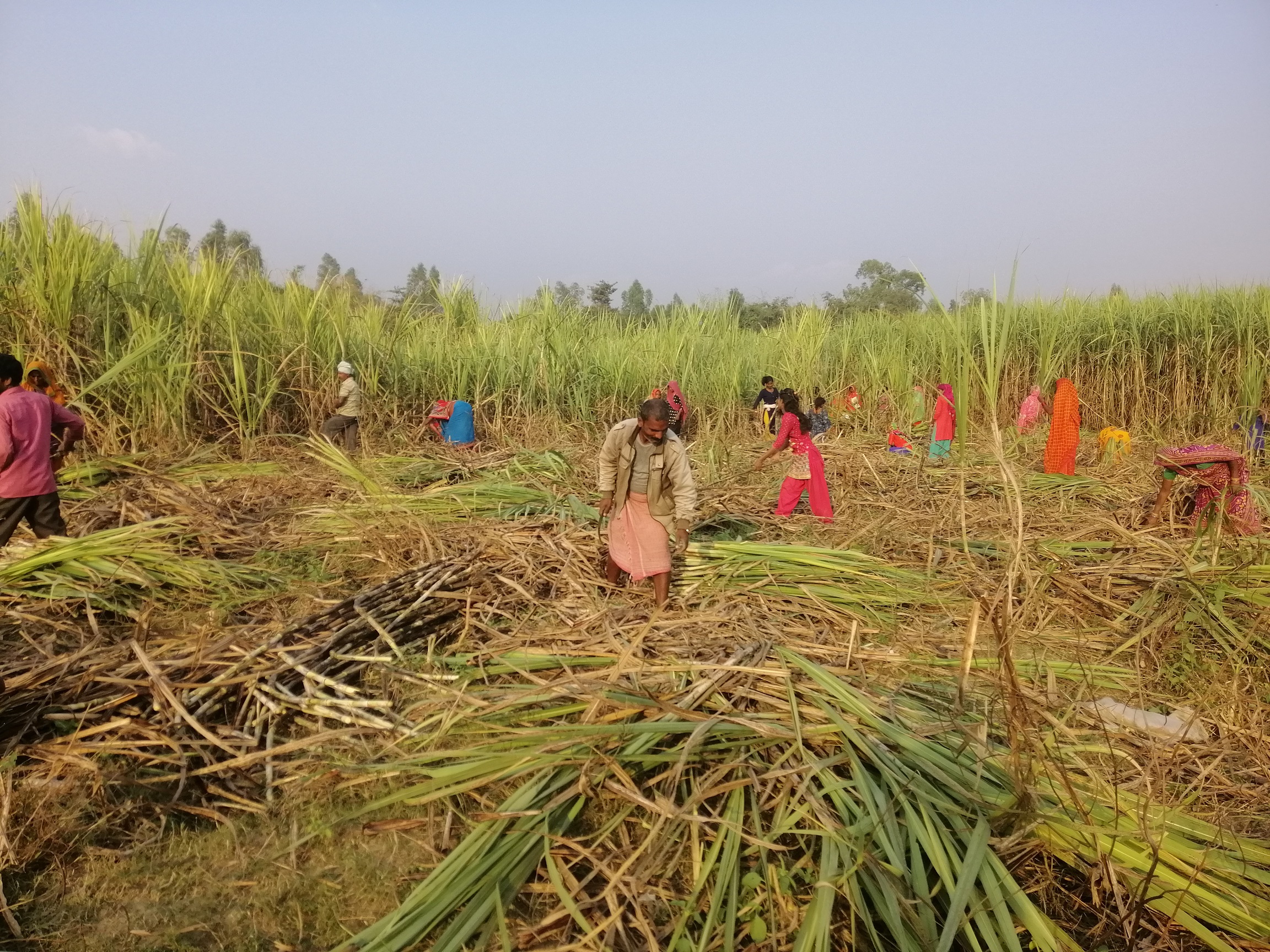 kisan-tarai-(2)-1754795625.jpg