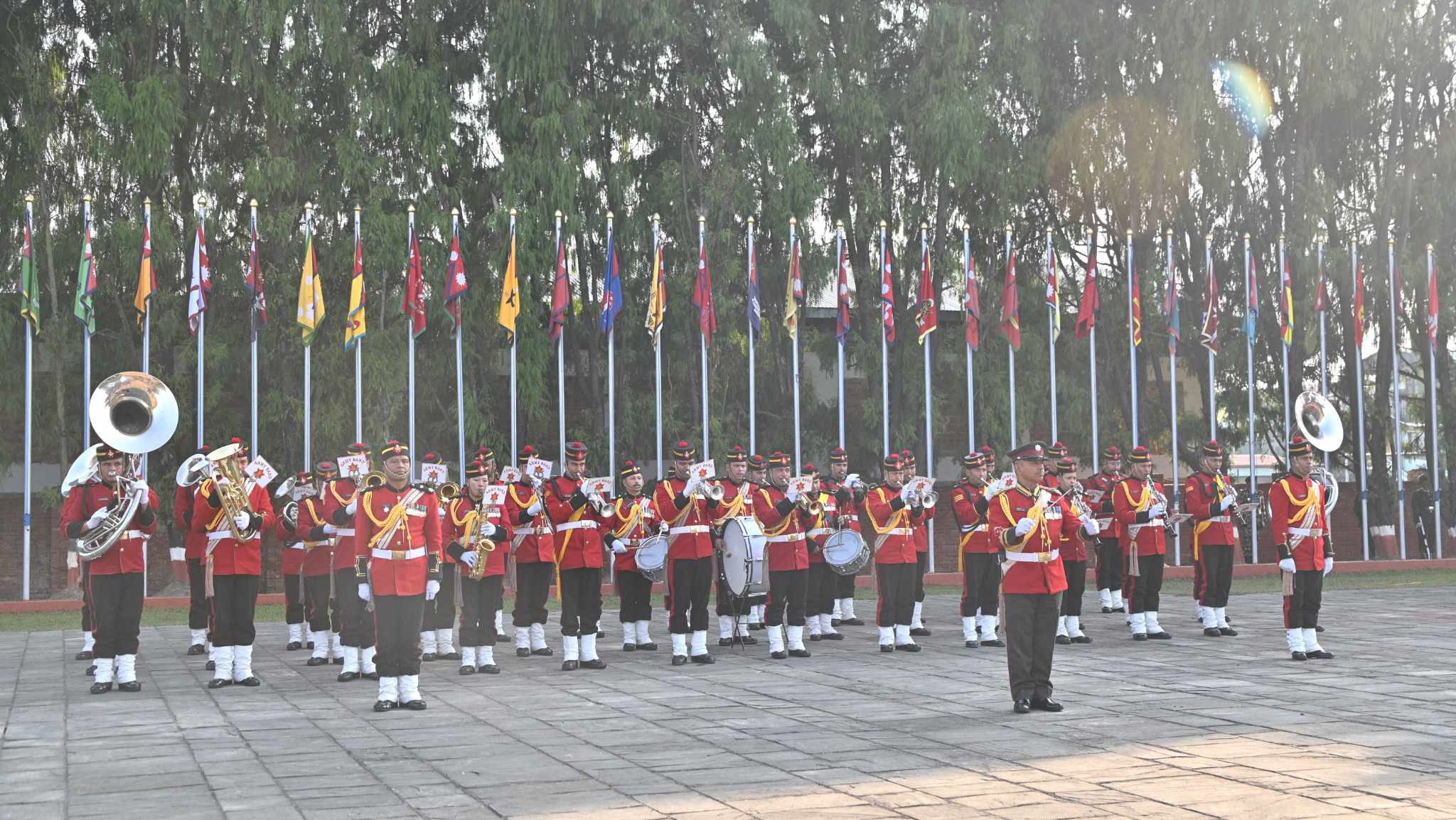 kp-oli-(5)-1733391331.jpg