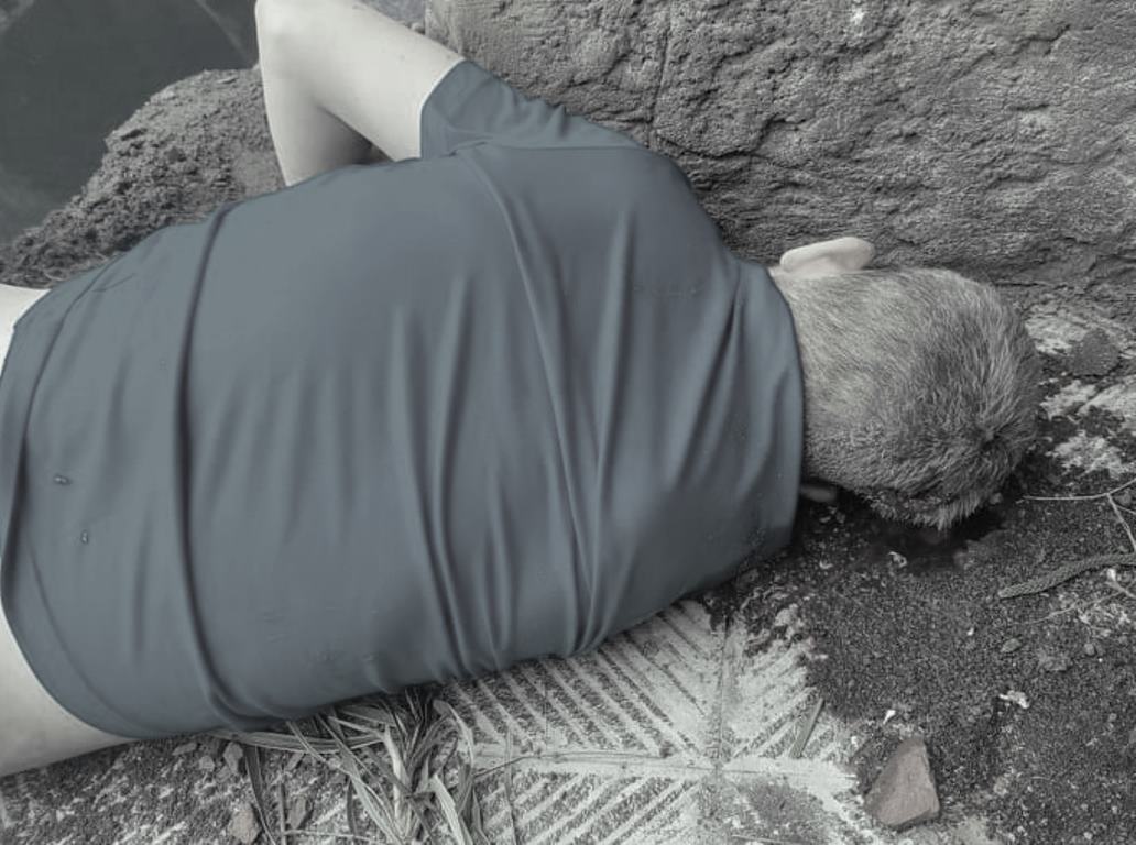ठमेलस्थित होटलको सातौँ तलाबाट खसेर विदेशी नागरिकको मृत्यु 