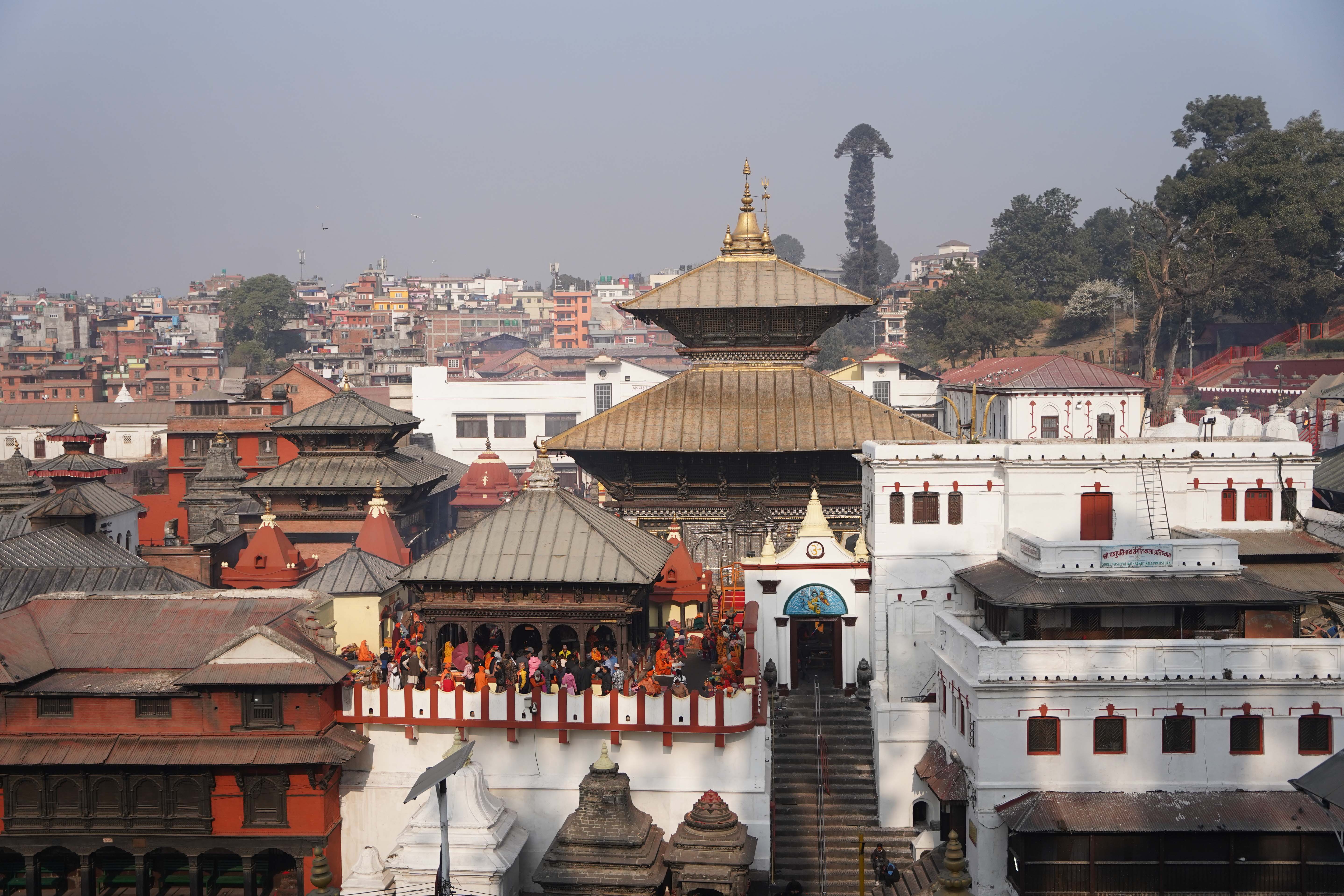 mahashivaratri-pasupatinath-(3)-1740459460.jpg