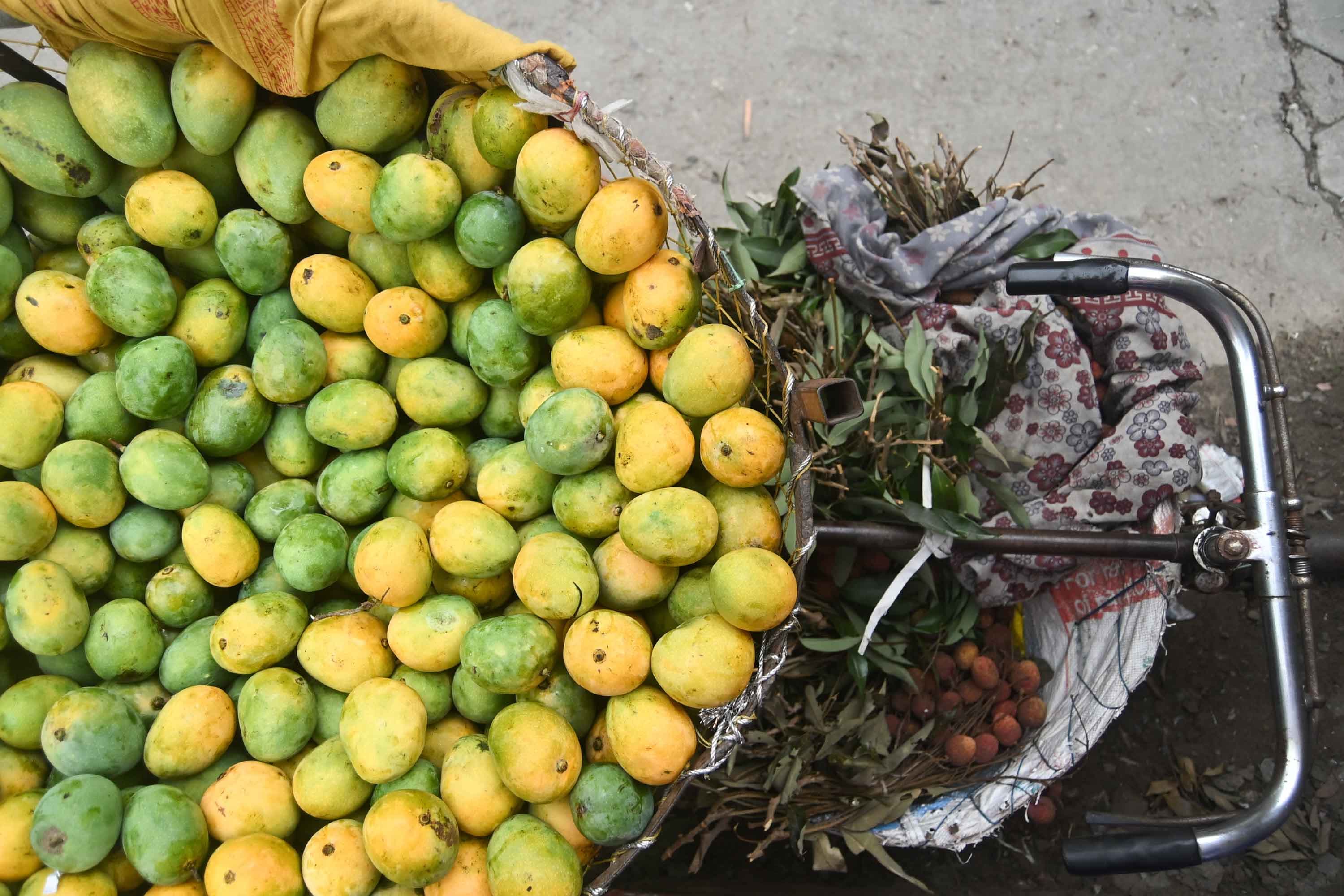 mango-(11)-1749090756.jpeg