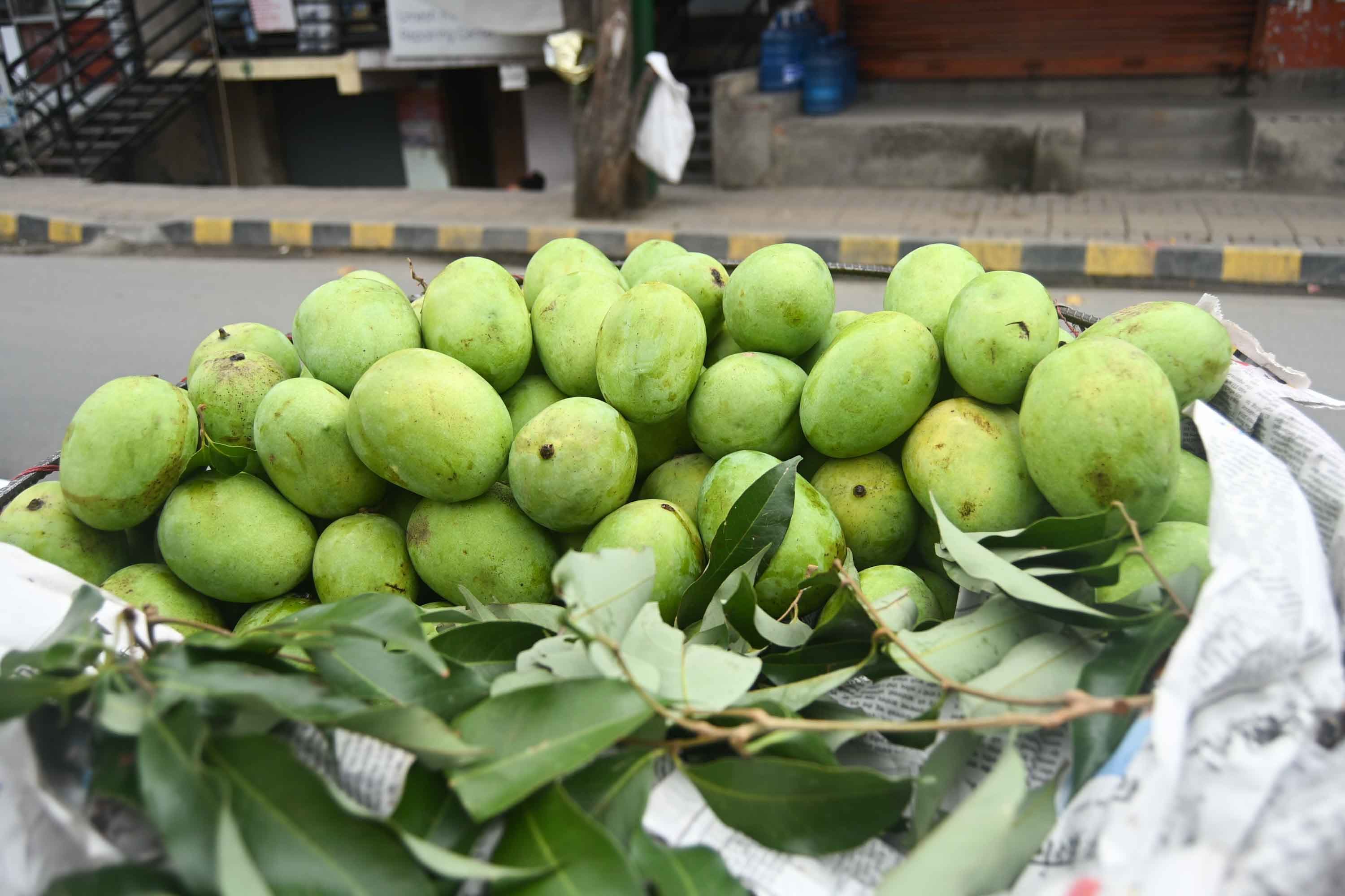 mango-(12)-1749090758.jpeg
