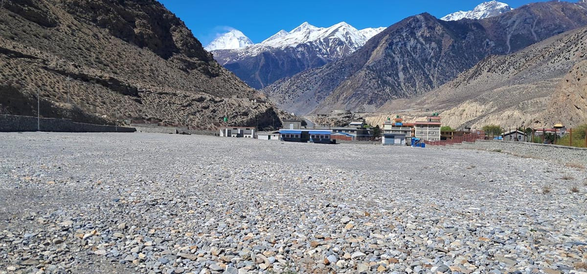 mustang-bhansar-1788780864.jpg