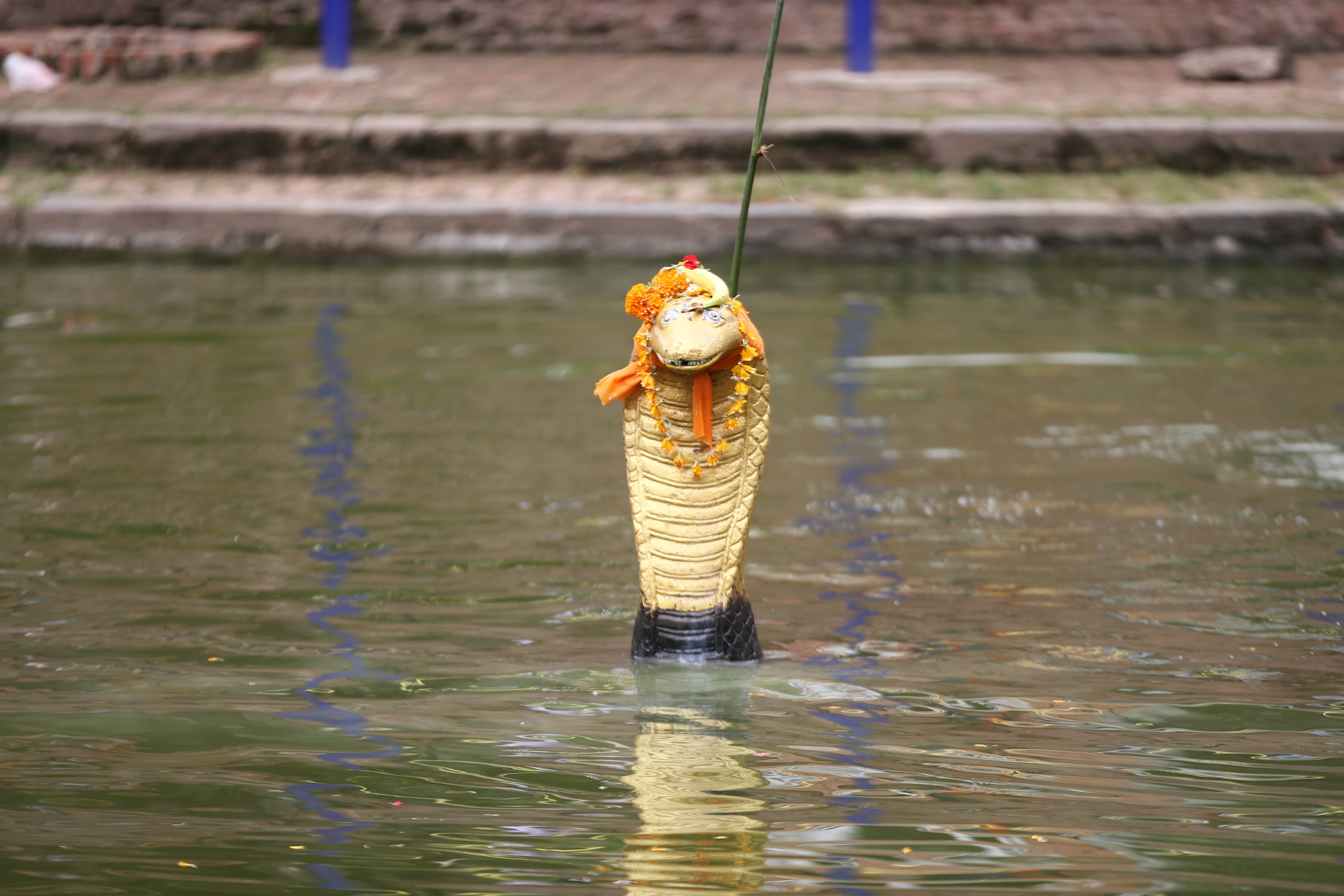 nagpanchami-bhaktapur-(1)-1753774048.jpeg