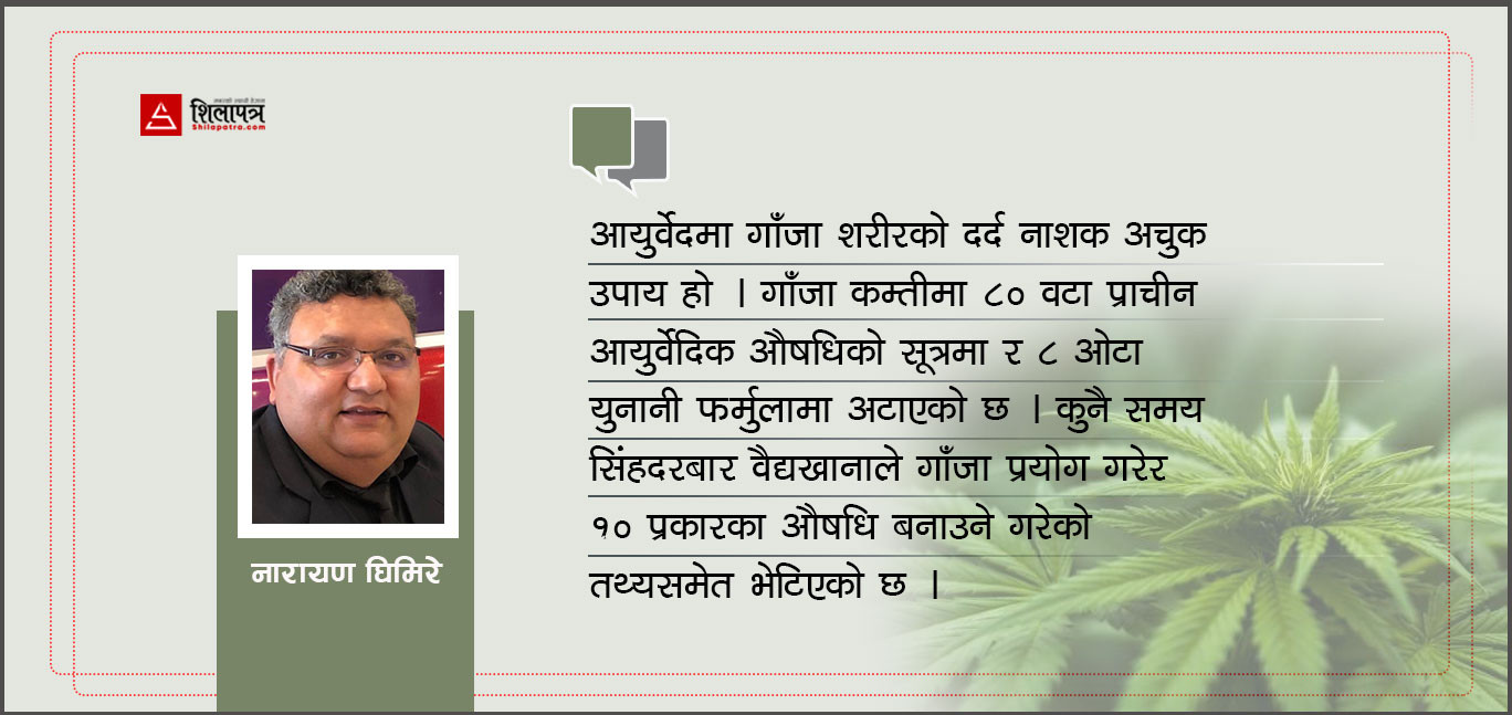 गाँजाकाे महत्त्व सं‌‌सारले बुझ्दै छ, हामी चैँ‌ किन नबुझ्ने ?