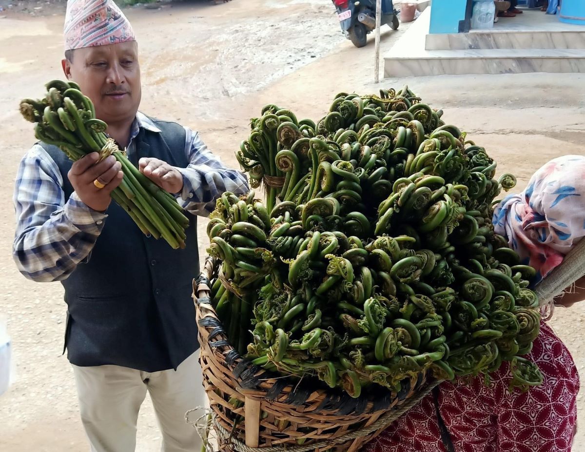 बागलुङमा दोवाको निउरो