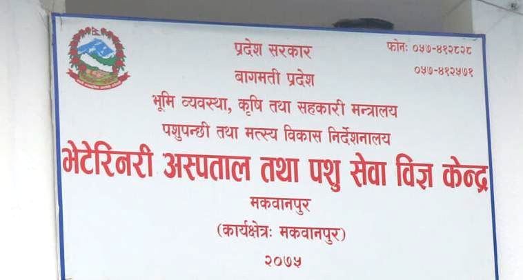 भेटेरीनरी डाक्टरले फर्जी विवरण बुझाएर लिए पर्यटन काज भत्ता, एउटै मितिमा दुई ठाउँ कसरी पुगे ?