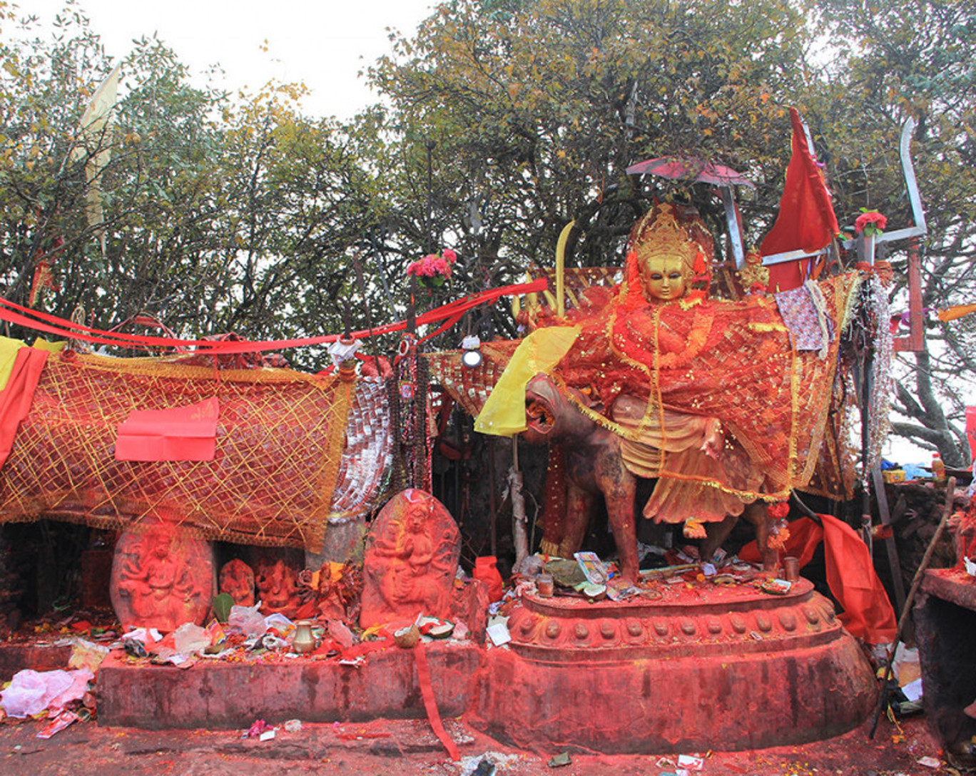 पाथीभरामा दसैँतिहारमा पुगे ६१ हजार बढी दर्शनार्थी