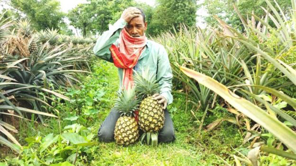 नेपालमाथि नाकाबन्दीको रिहर्सल गर्दै भारत, फलफूल समेत नबेच्ने !