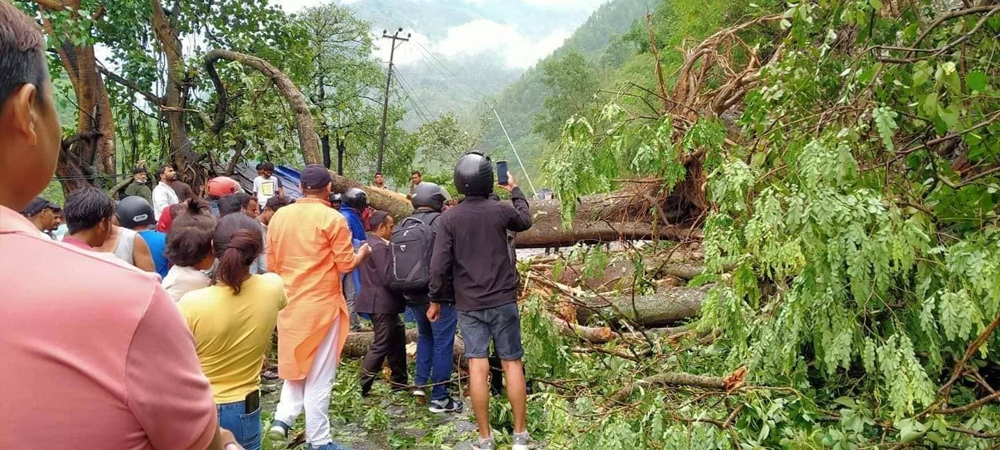 हावाहुरीले बिजुलीको पोल ढालेपछि मुग्लिन-काठमाडौं सडक अवरुद्ध