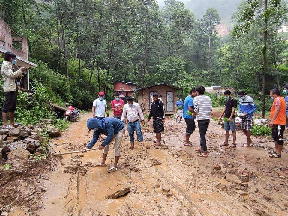 स्तरोन्नति नभएको भन्दै दक्षिणकालीमा विरोधस्वरूप सडकमै रोपाइँ