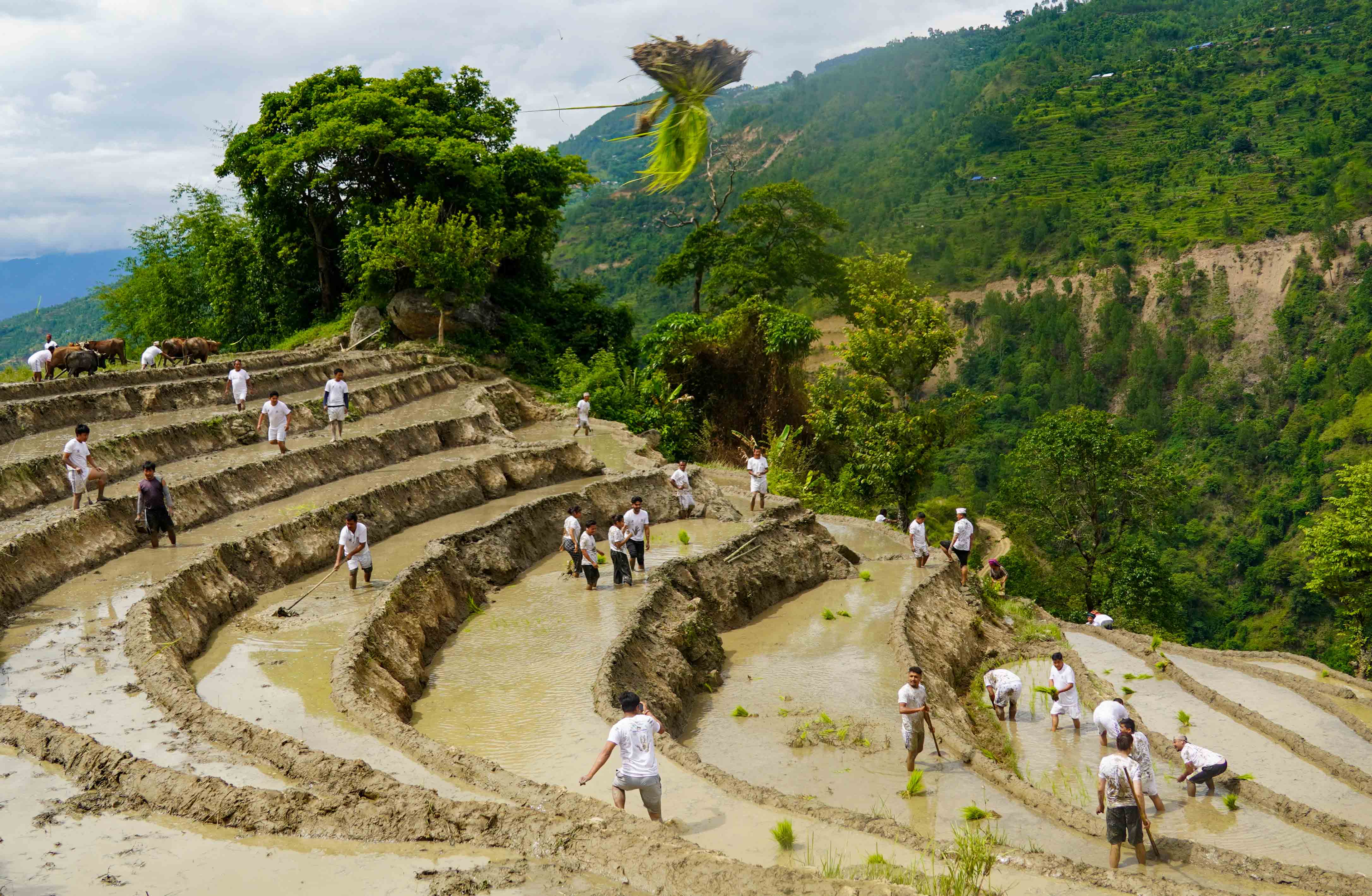 ropai-pachthar--(3)-1751213098.JPG