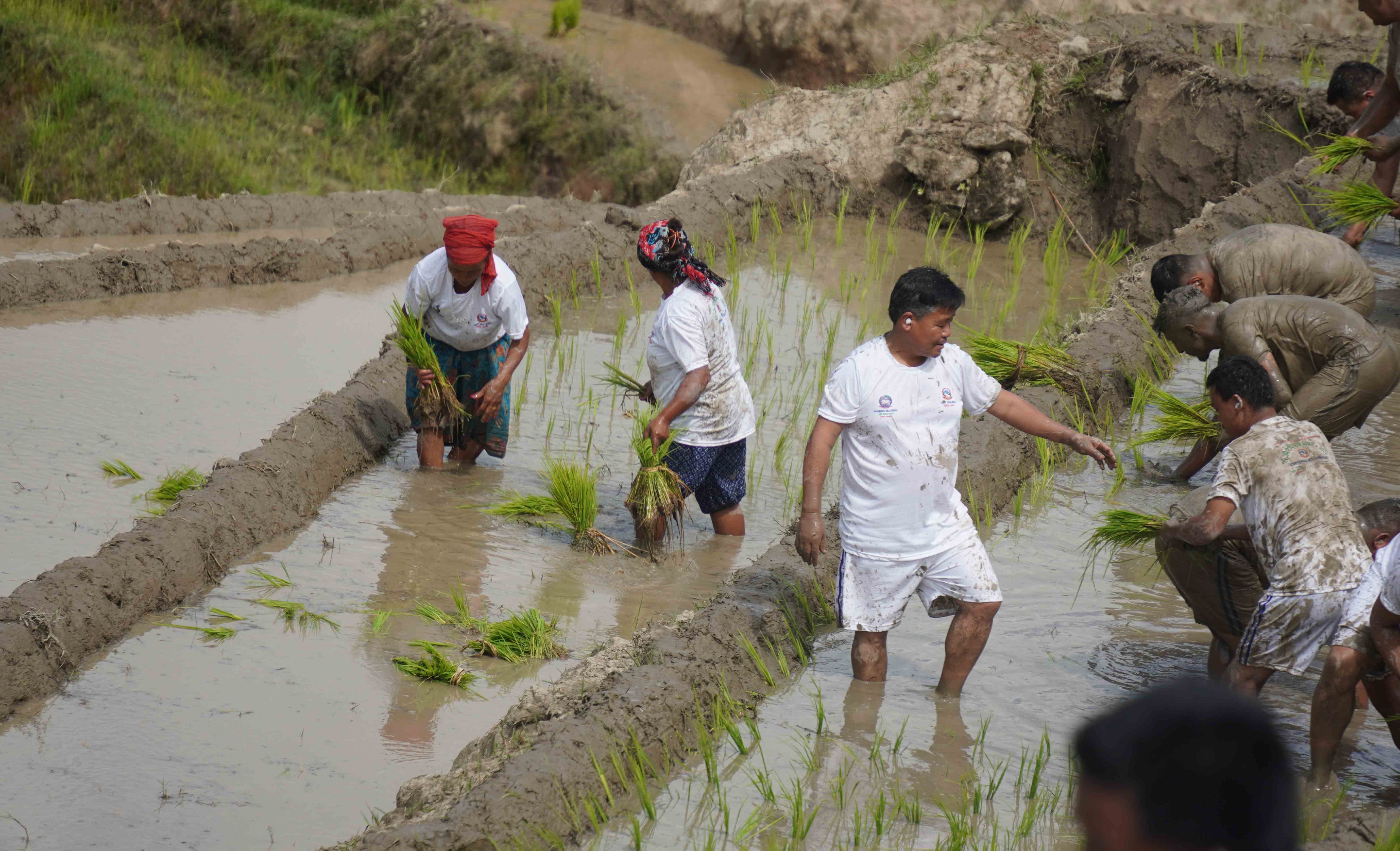 ropai-pachthar--(4)-1751213098.JPG