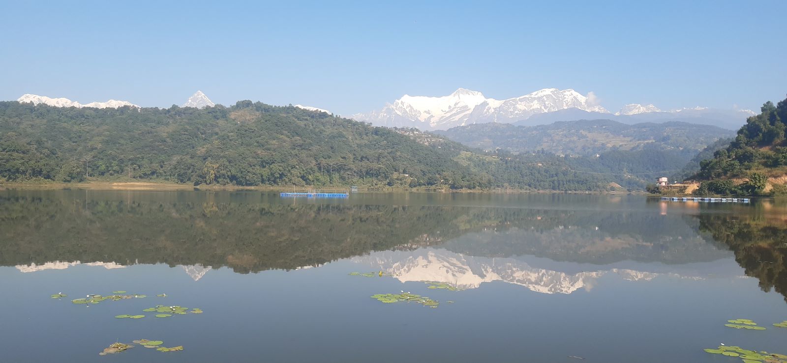 वार्षिक ५० लाख रुपैयाँबराबरको माछा खान रूपा ताल आइपुग्छन् पाहुना चरा