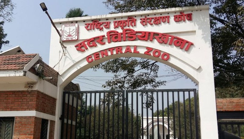 ९ महिनापछि चिडियाखाना खुल्दै
