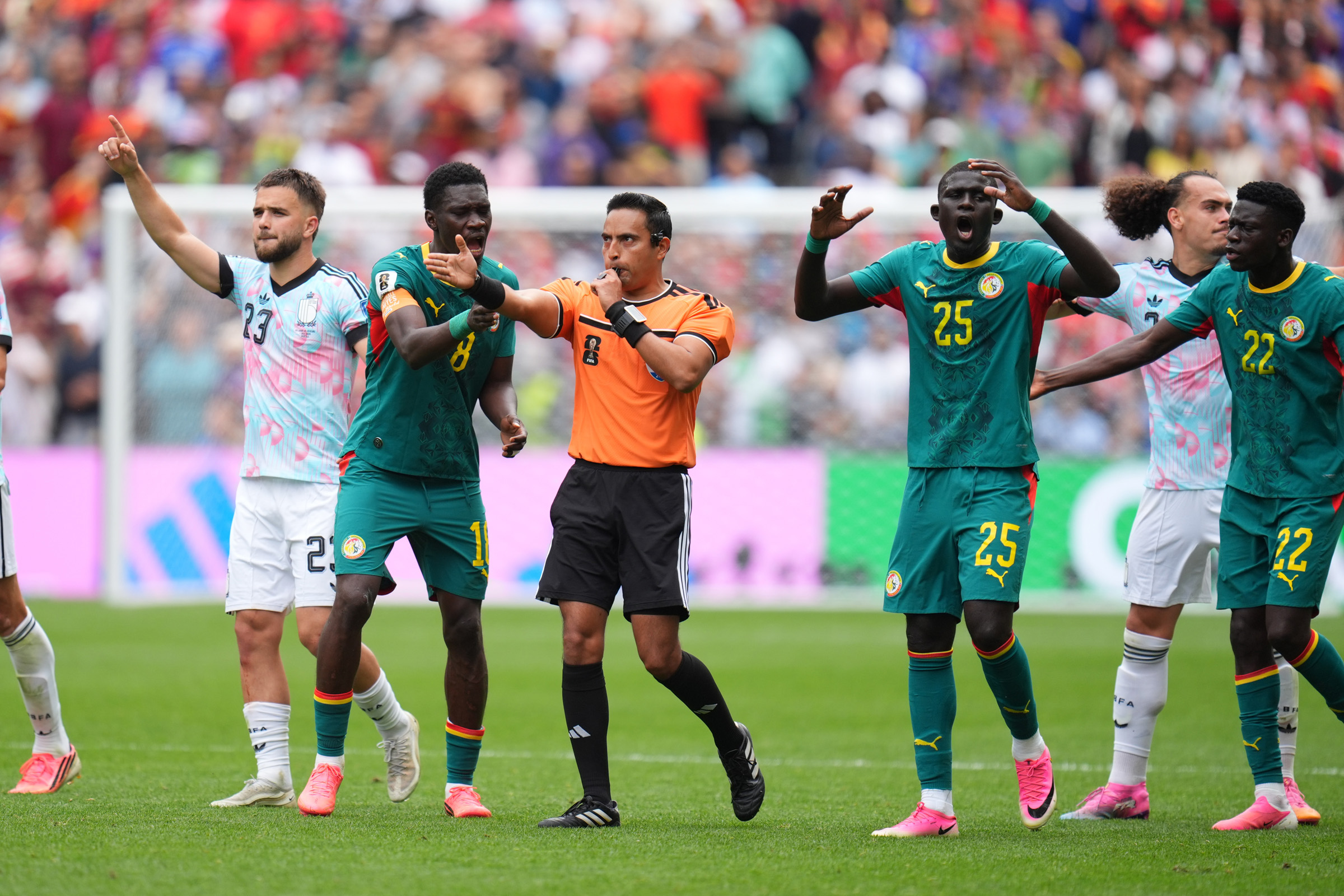 senegal-and-belgium-(6)-1782959808.jpg