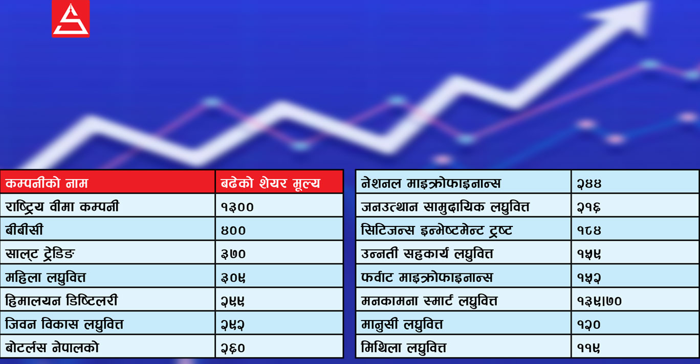 नाटकीय रूपमा बढेको शेयरबजारमा एकै दिन ४३ कम्पनीको शेयरमूल्यमा सर्किट, यी कम्पनीले कमाए