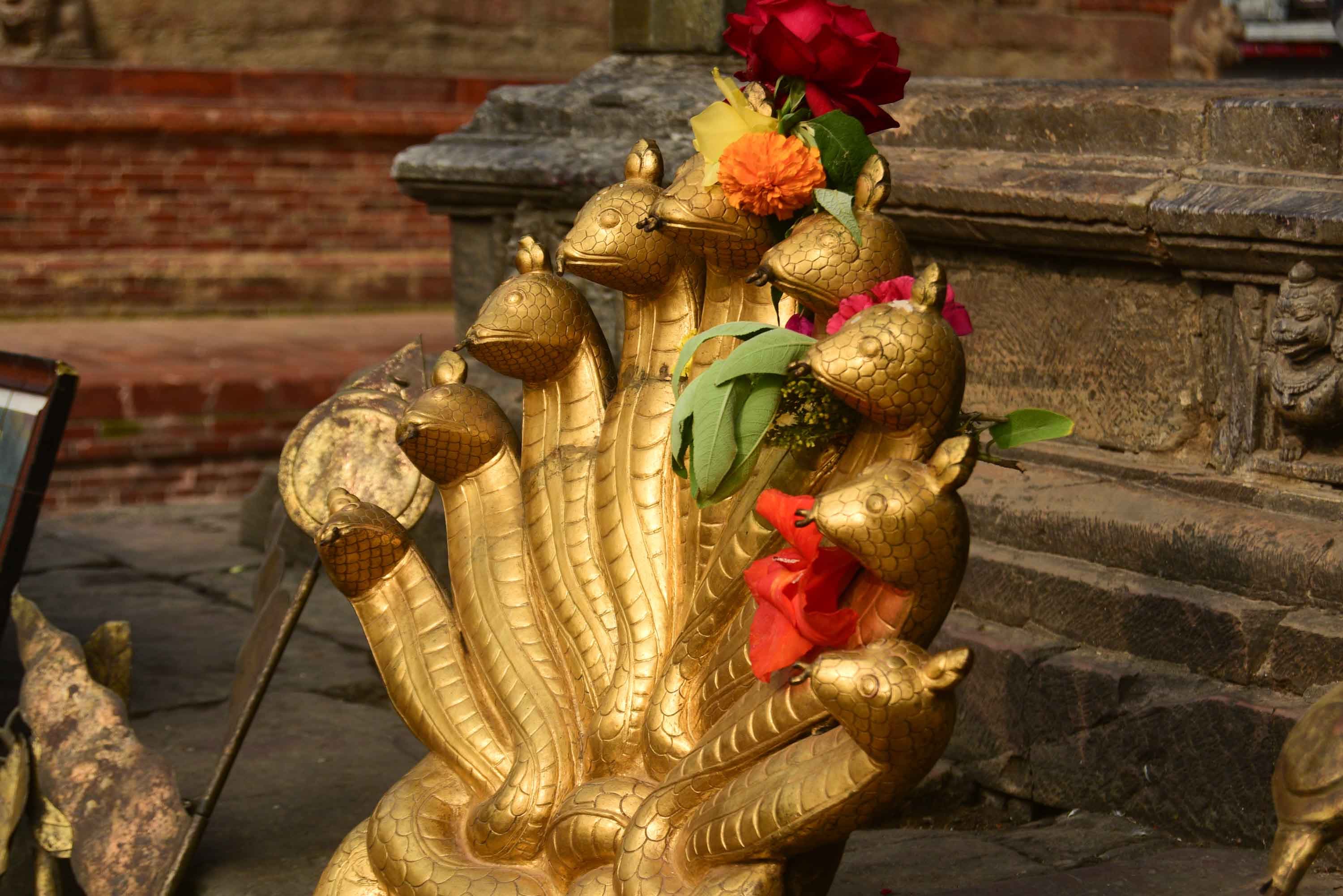 shreeniwas-malla-singhasan-(12)-1749610318.jpg