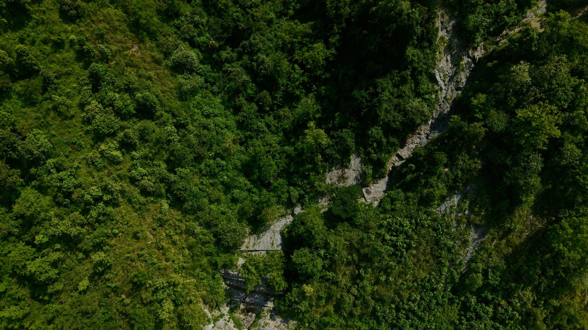 simaltal-(13)-1752312476.jpg