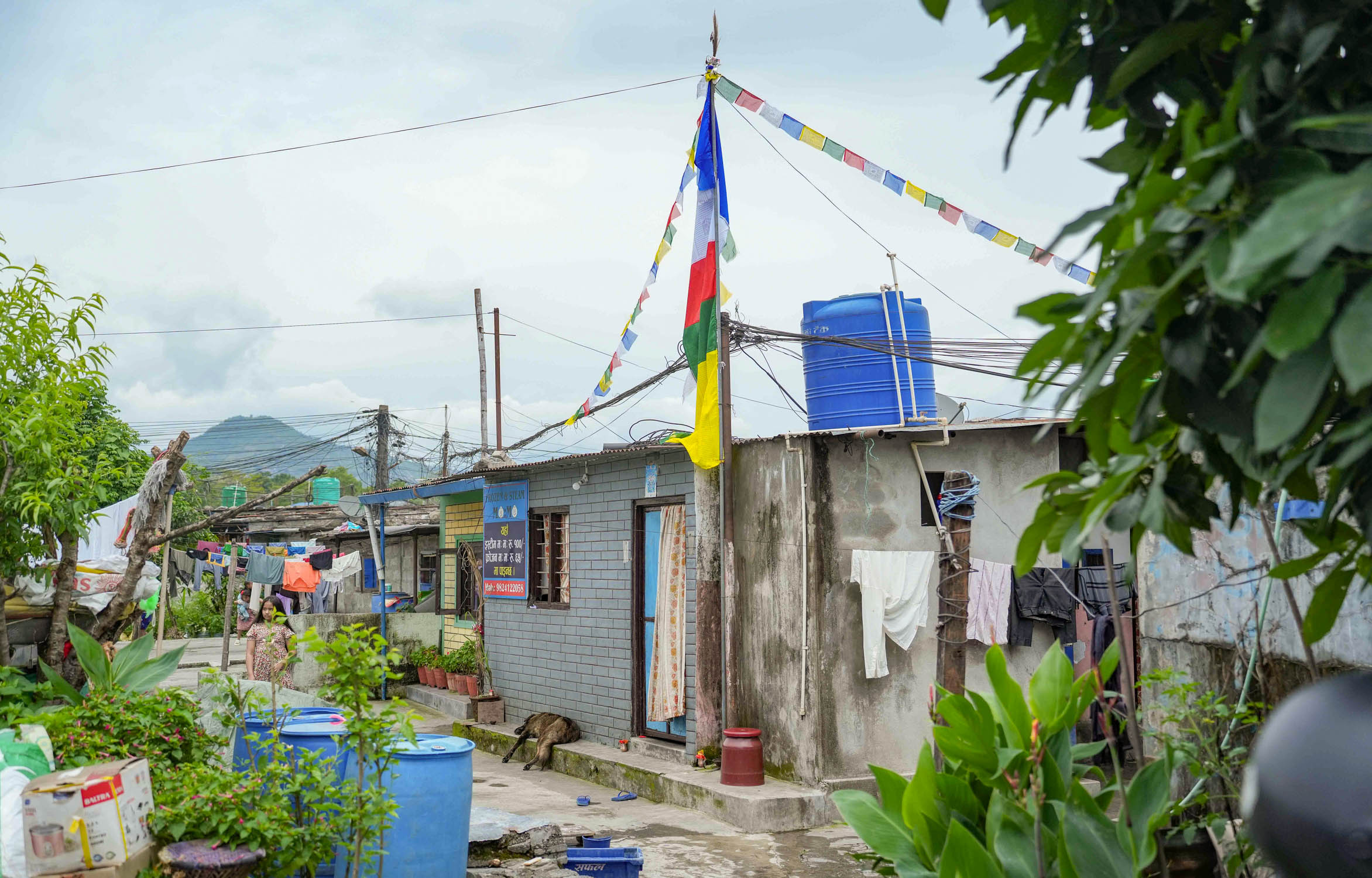 sukumbasi-pokhara-npl--(11)-1777867260.jpg