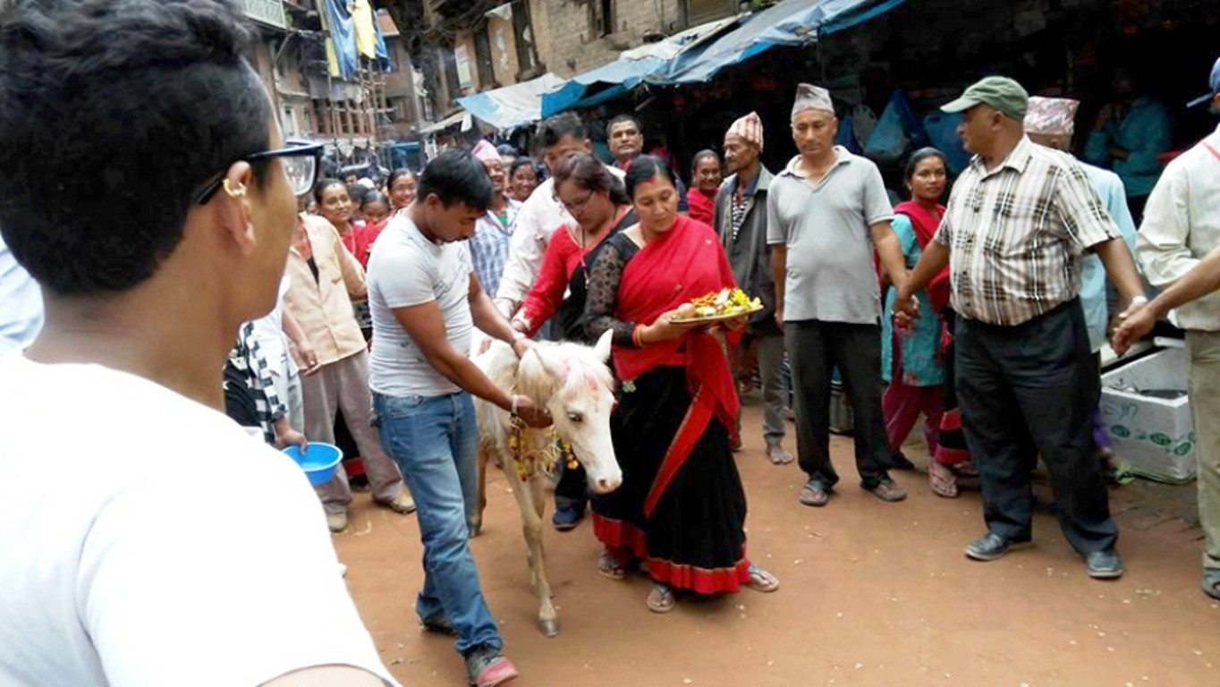 भक्तपुरमा तलेजुको वाहन सेतो घोडा जात्रा सम्पन्न