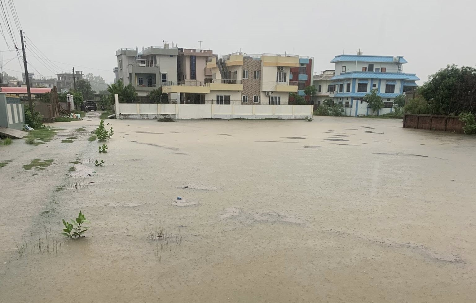 taranagar-1751262391.jpg