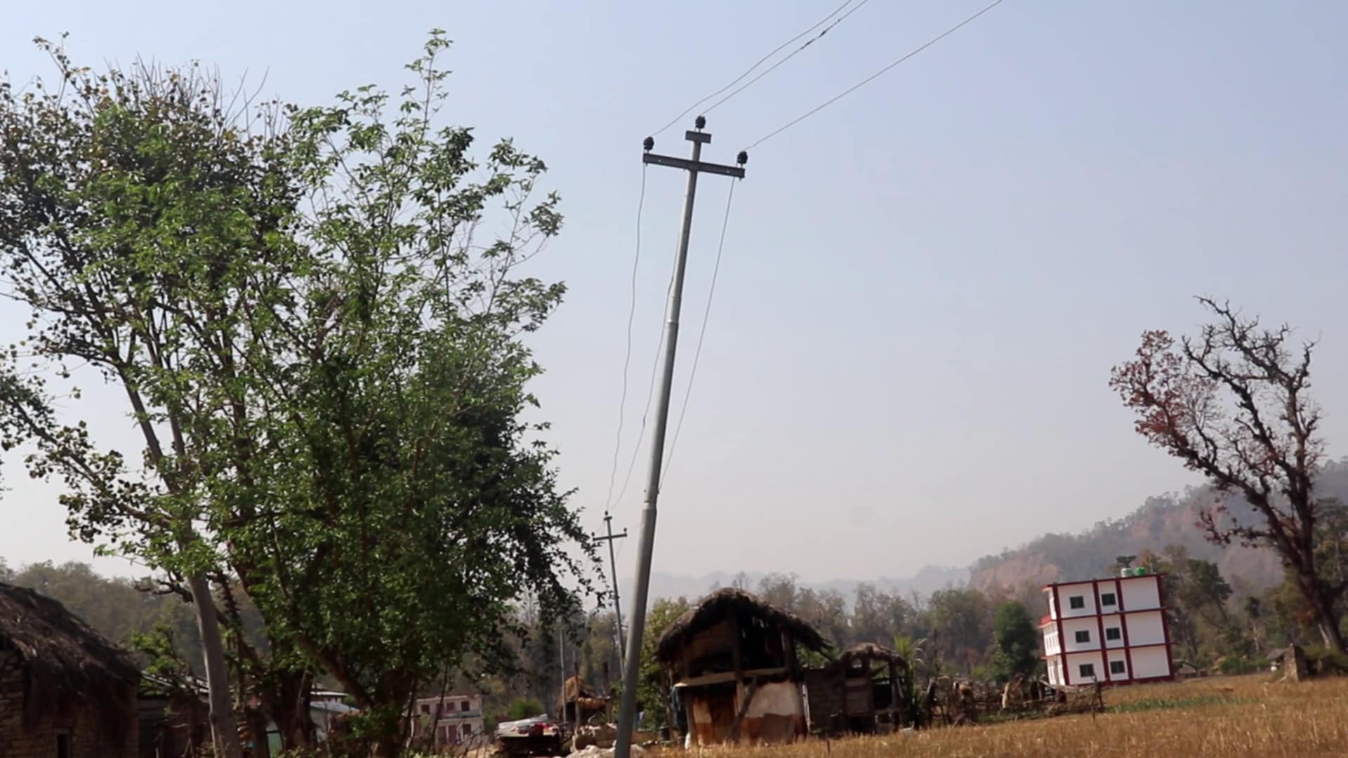 taranga-(1)-1771242761.jpg